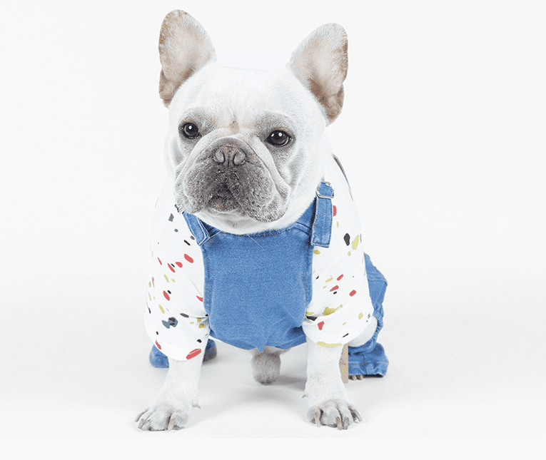 Jean French Bulldog Dog Accessory for Brachycephalic Dogs-fadou