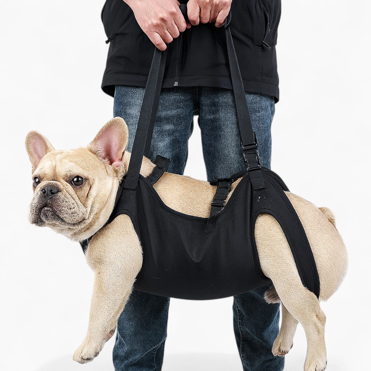 JointJoy French Bulldog Dog Transport for Training Sessions-fadou