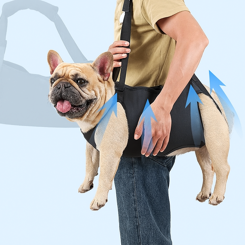 JointJoy French Bulldog Dog Transport for Training Sessions-fadou
