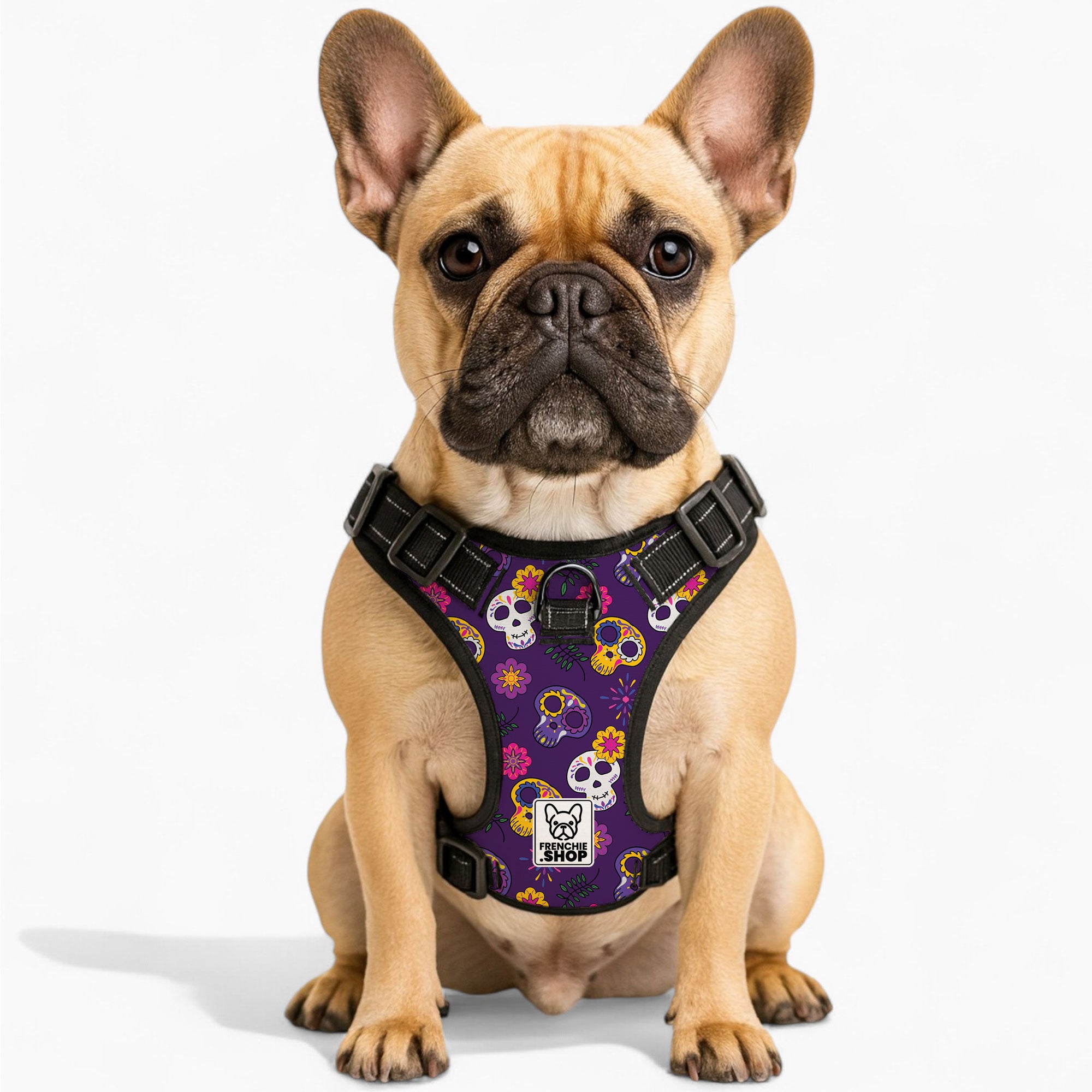 Kobe French Bulldog No-Pull Vest for Outdoor Adventures-fadou