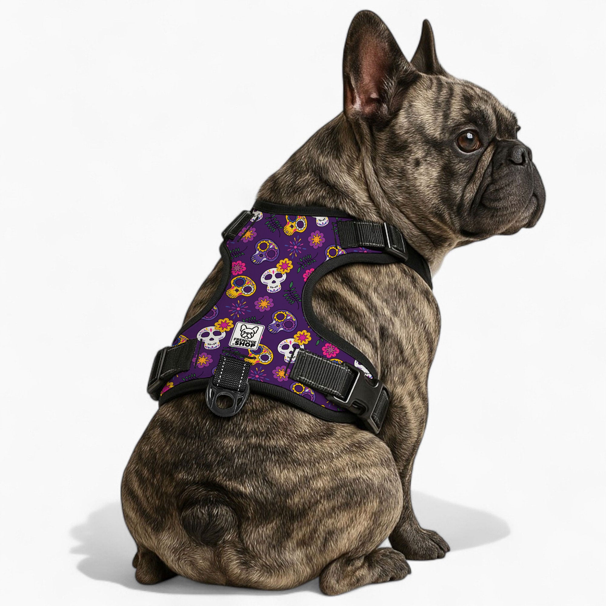 Kobe French Bulldog No-Pull Vest for Outdoor Adventures-fadou