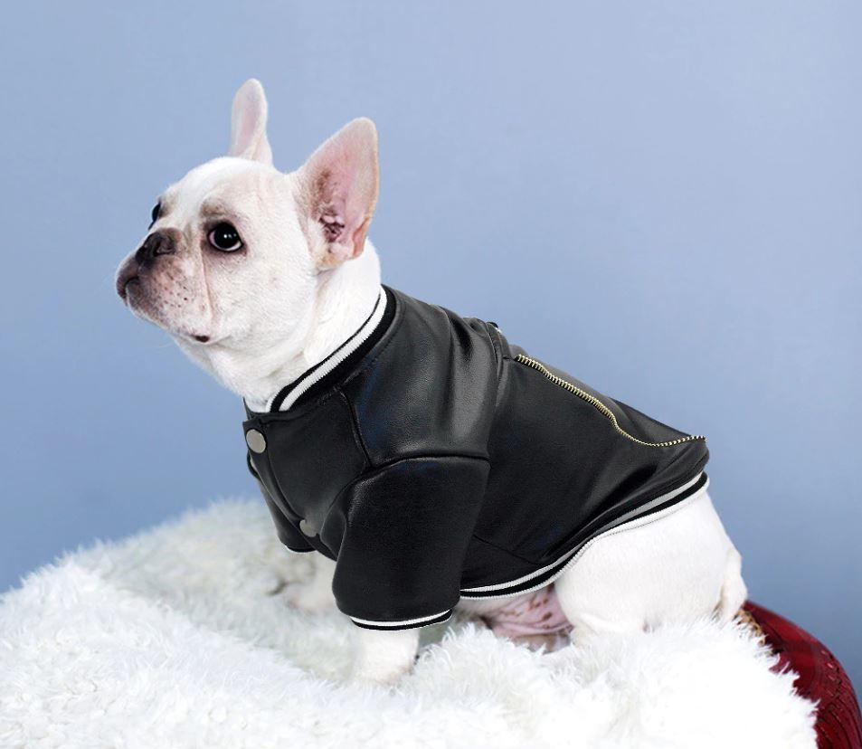 French Bulldog Leather Warm Outerwear for Travel Comfort-fadou