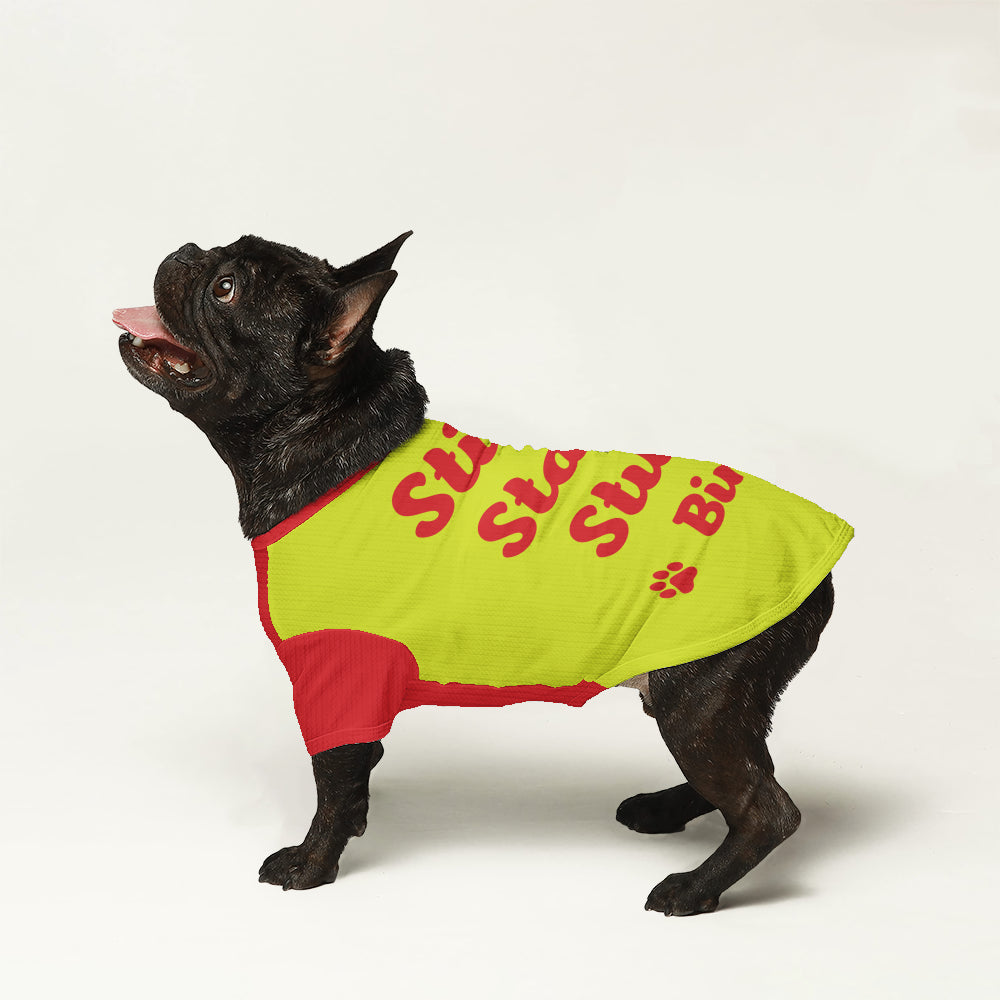 French Bulldog Personalized Knit Sweater for Small Breeds-fadou