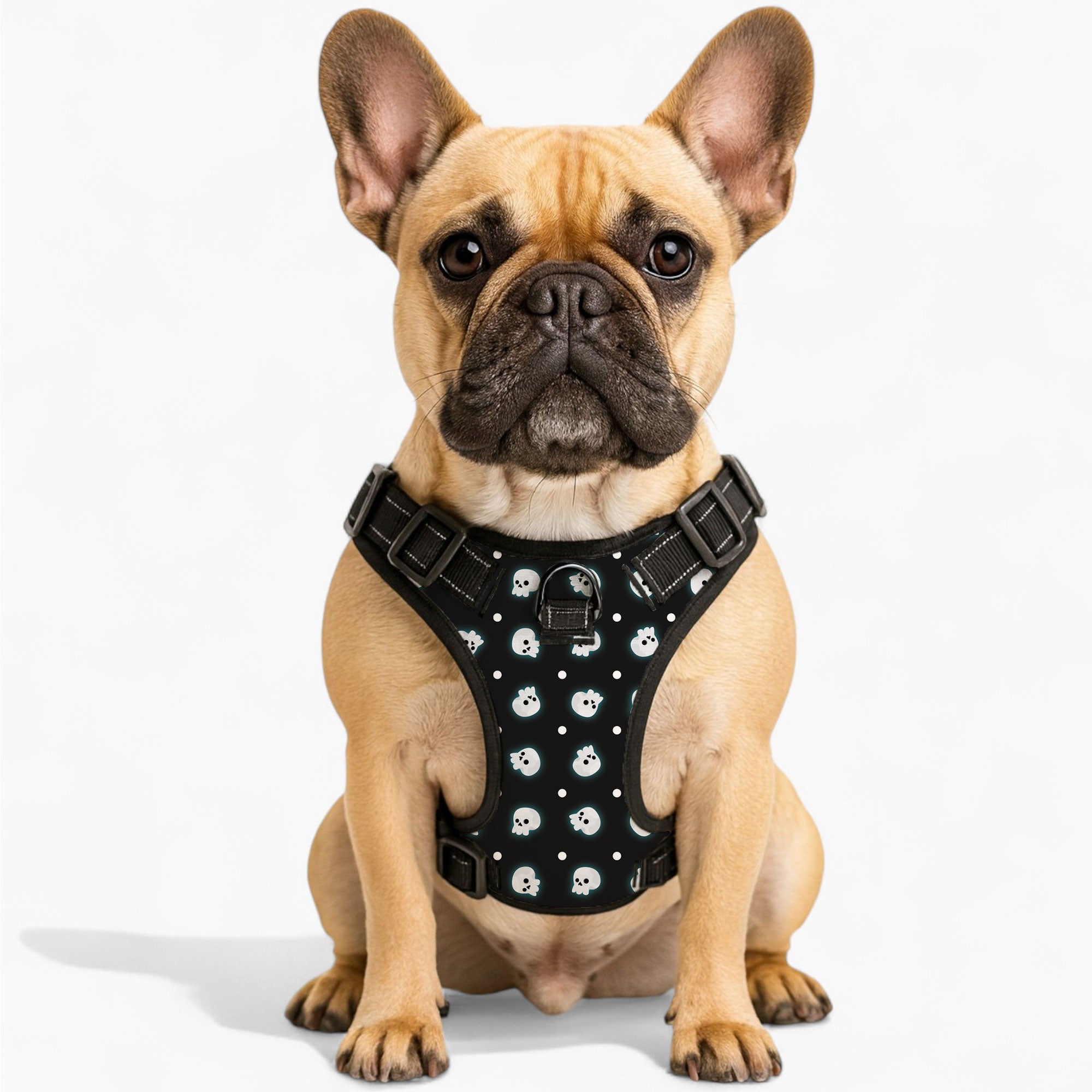 Loki French Bulldog Chest Harness for Outdoor Adventures-fadou