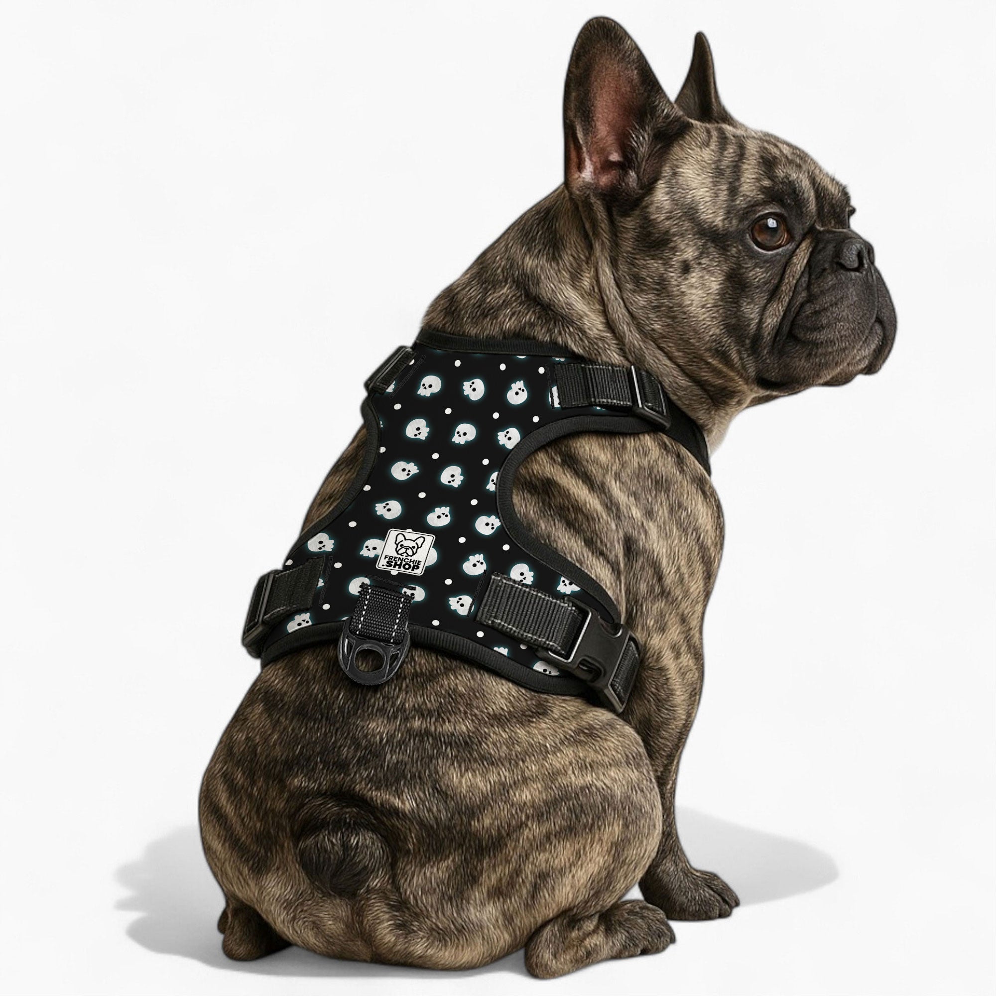 Loki French Bulldog Chest Harness for Outdoor Adventures-fadou