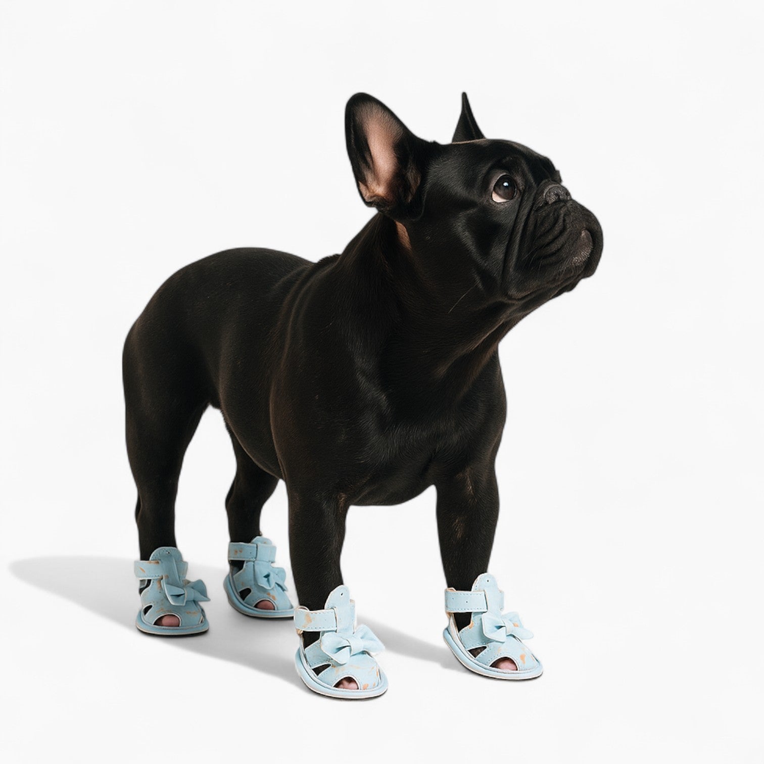French Bulldog Protective Booties for Outdoor Adventures-fadou