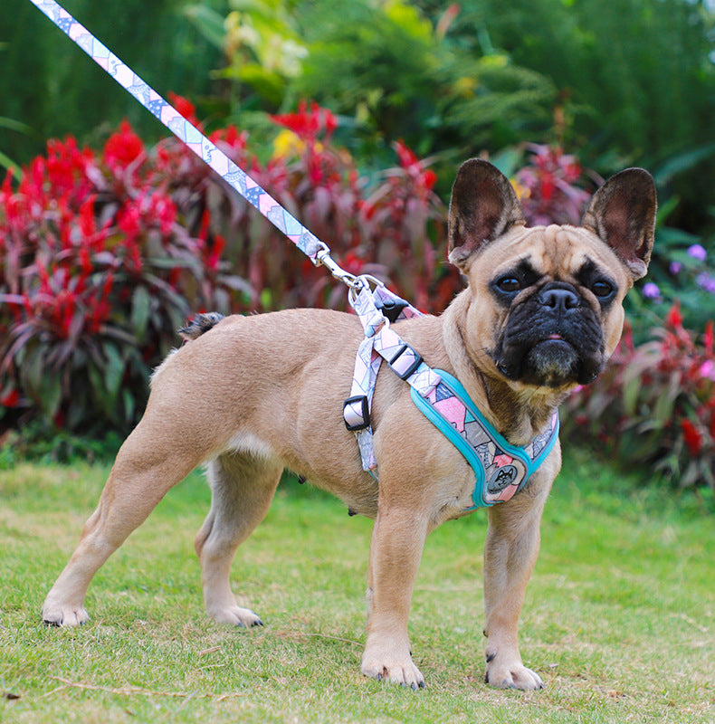 Frenchie Adjustable Chest Harness for Outdoor Adventures-fadou