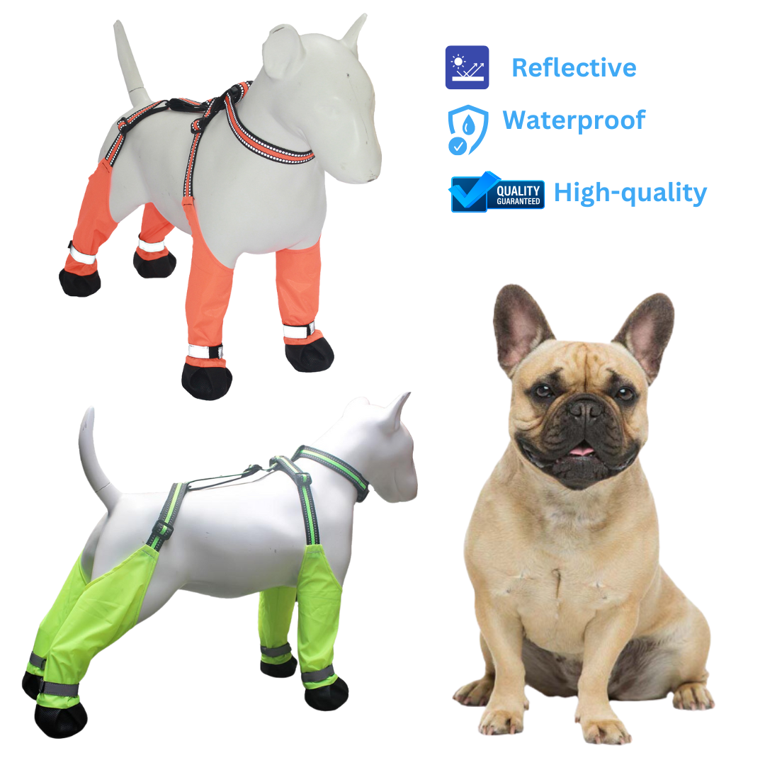 French Bulldog Waterproof Pet Shoes for Flat-Face Breeds-fadou