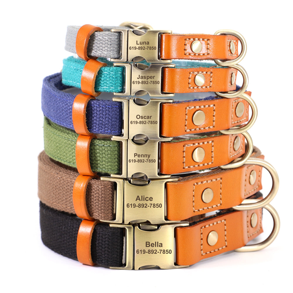 French Bulldog Personalized ID Collar for Flat-Face Breeds-fadou