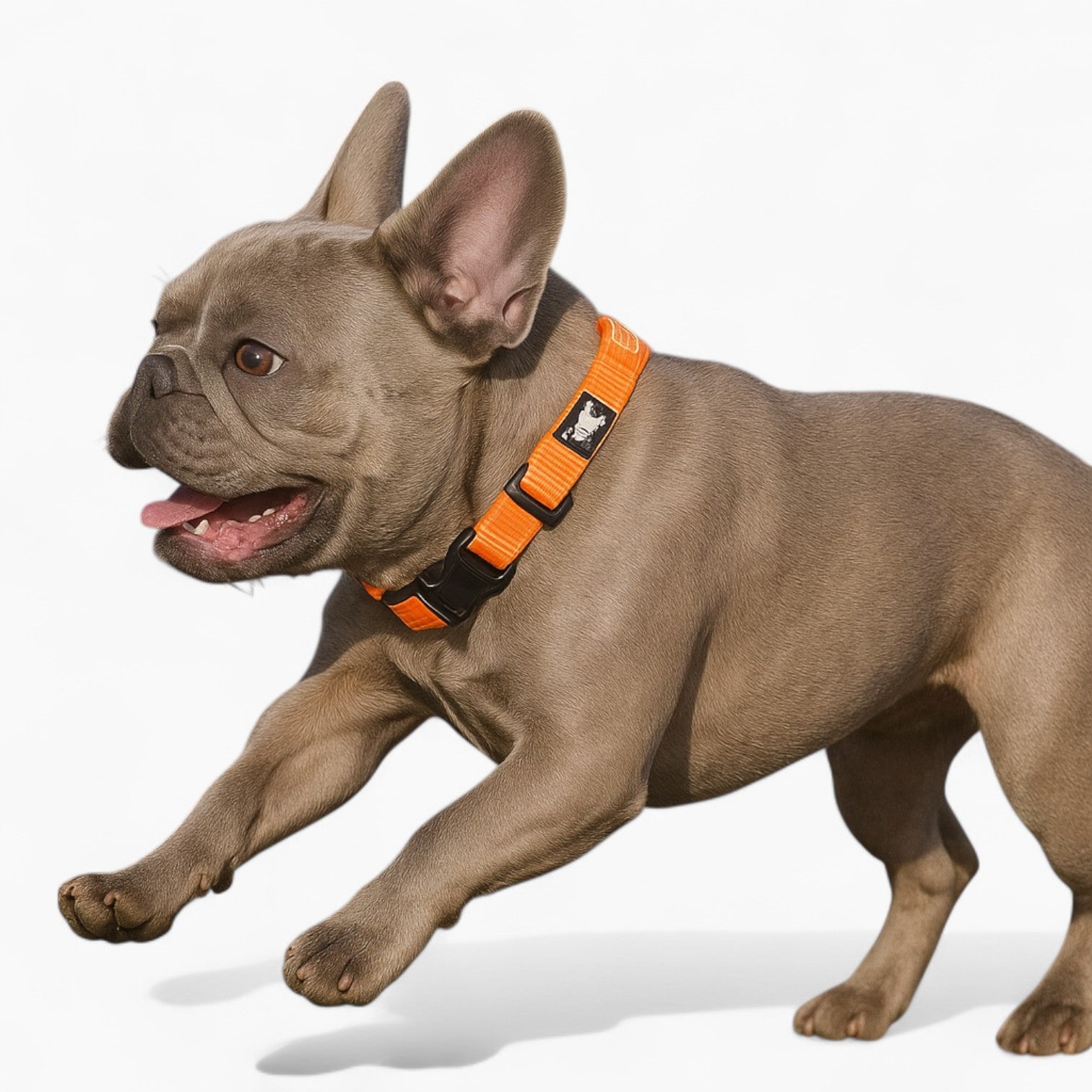 French Bulldog Adjustable Adjustable Collar for Cozy Nights-fadou