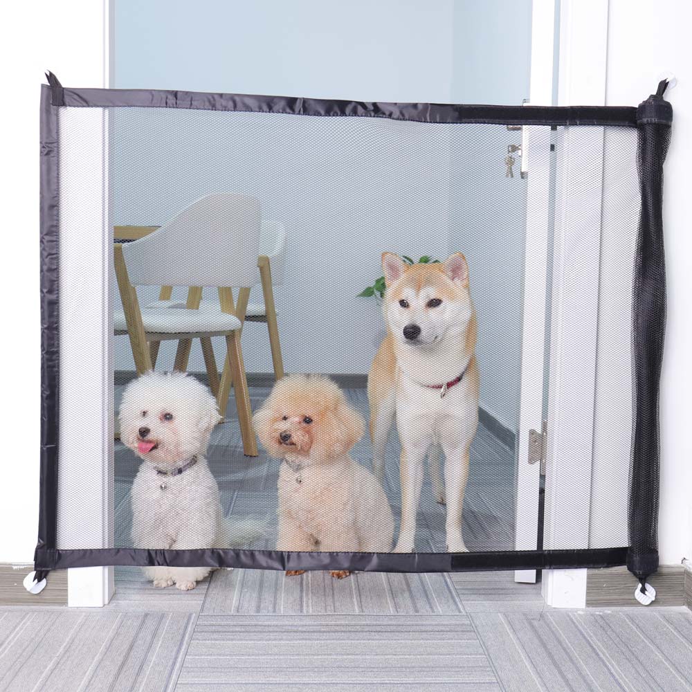 Magic French Bulldog Accessory for Frenchie Enthusiasts-fadou