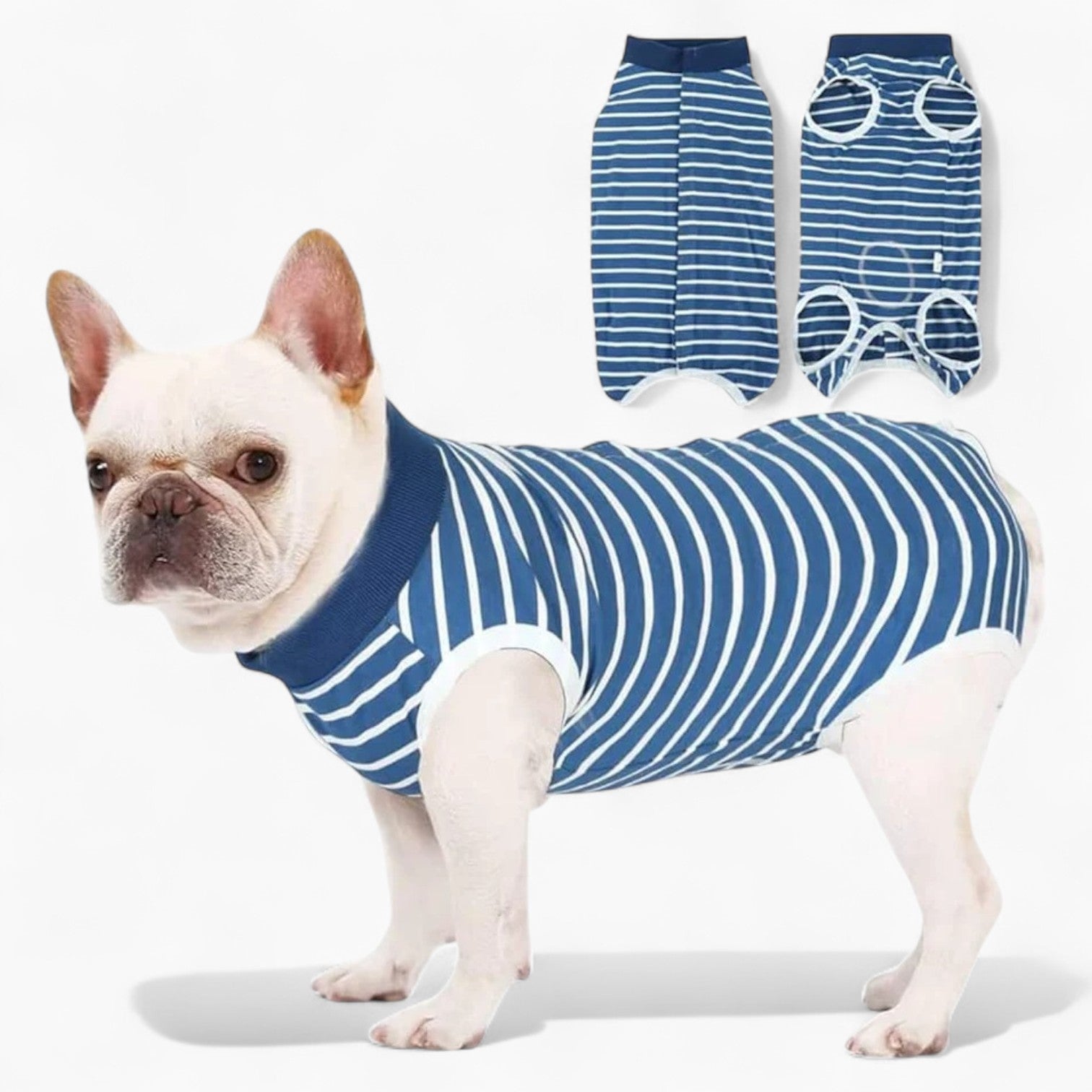 French Bulldog Absorbent Underwear for Short-Nosed Dogs-fadou