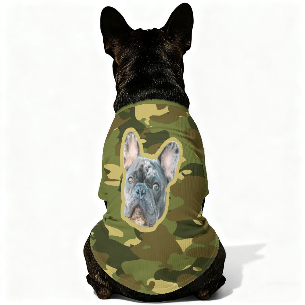 French Bulldog Personalized Pet Sweater for Playtime Fun-fadou