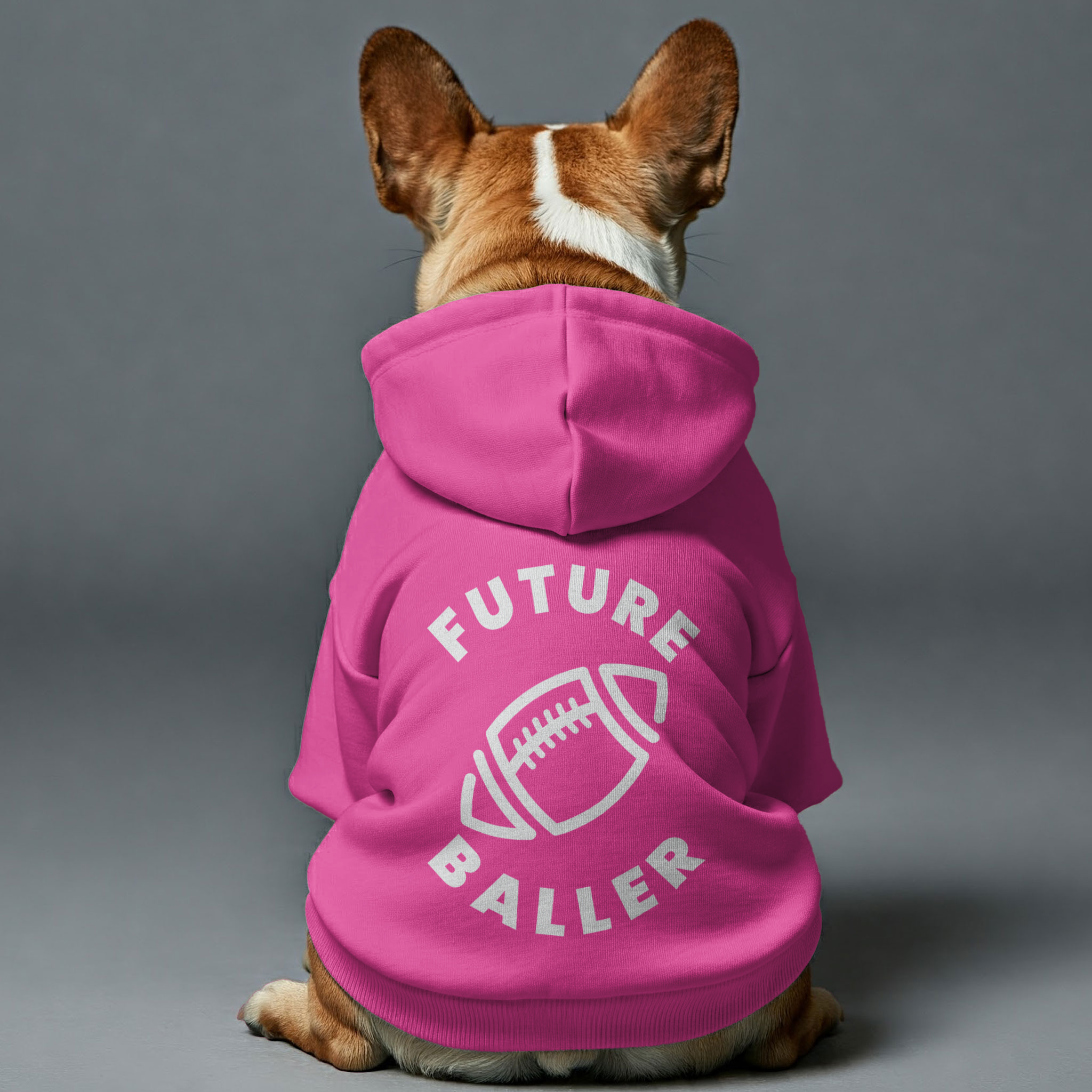 French Bulldog Premium Fleece Hoodie for French Bulldogs-fadou