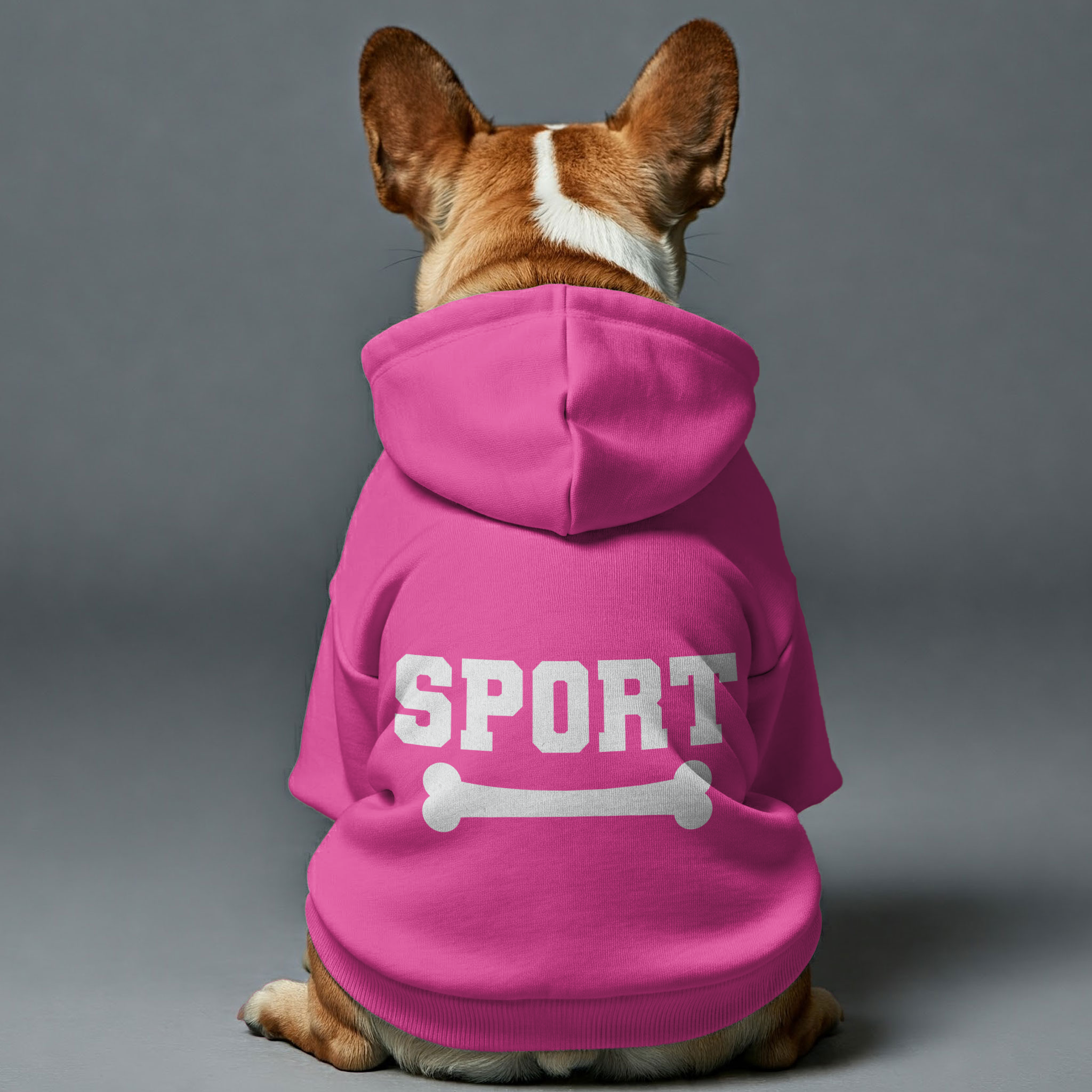 SPORT French Bulldog Pet Sweatshirt for Training Sessions-fadou