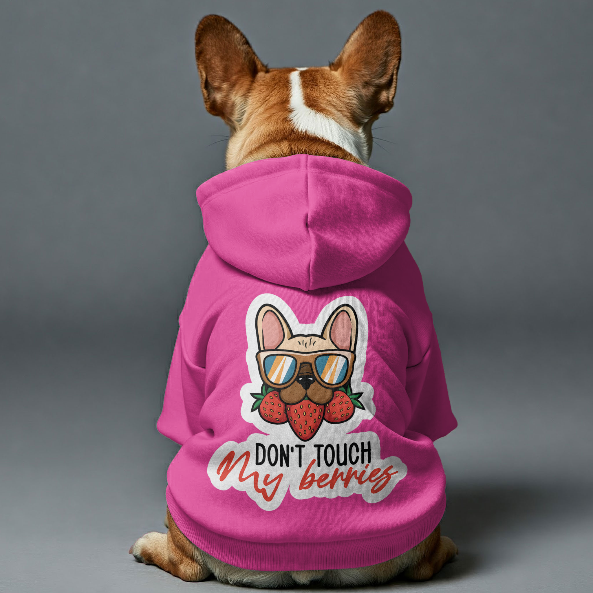 Frenchie Personalized Cozy Hoodie for Training Sessions-fadou