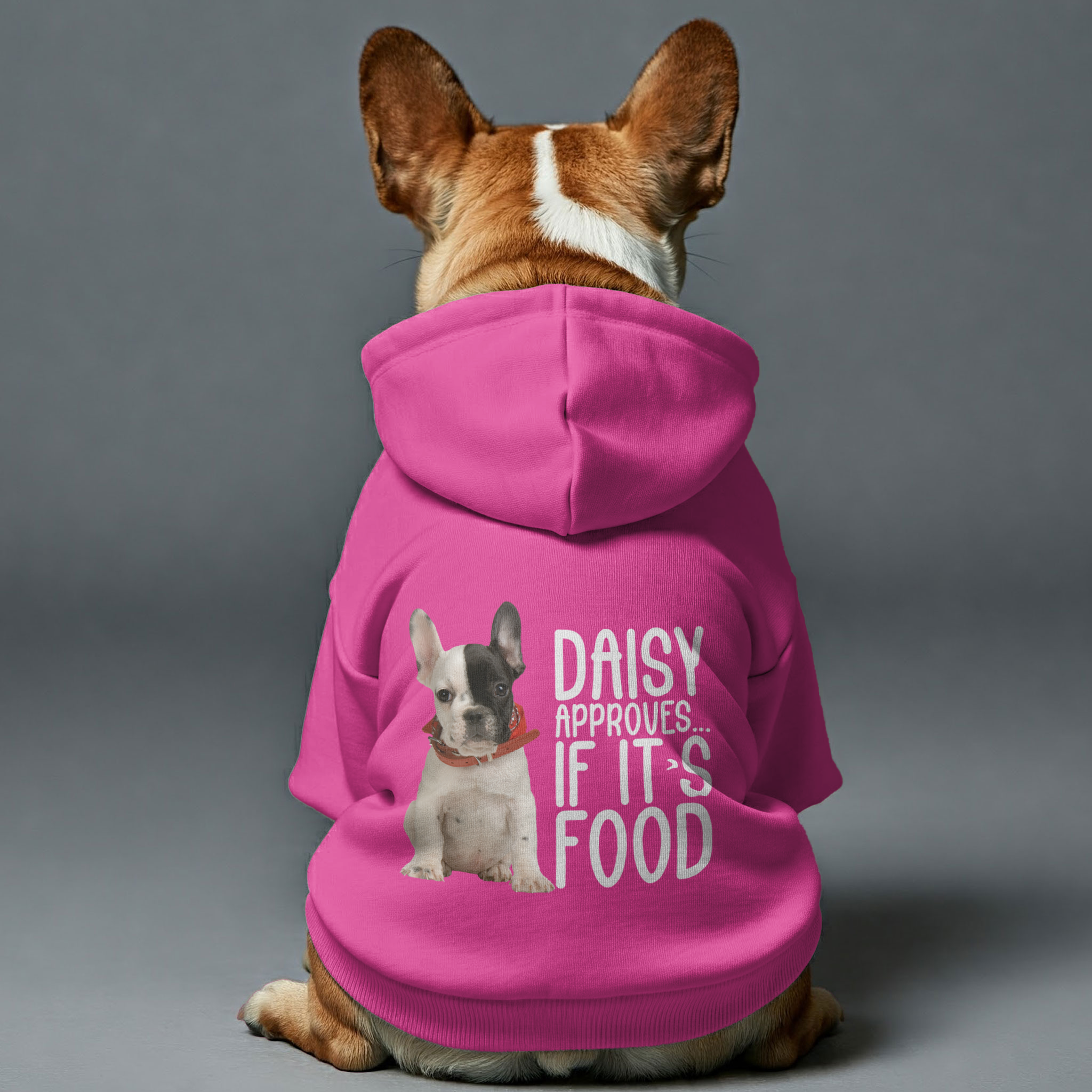 French Bulldog Cotton Pet Sweatshirt for Short-Nosed Dogs-fadou