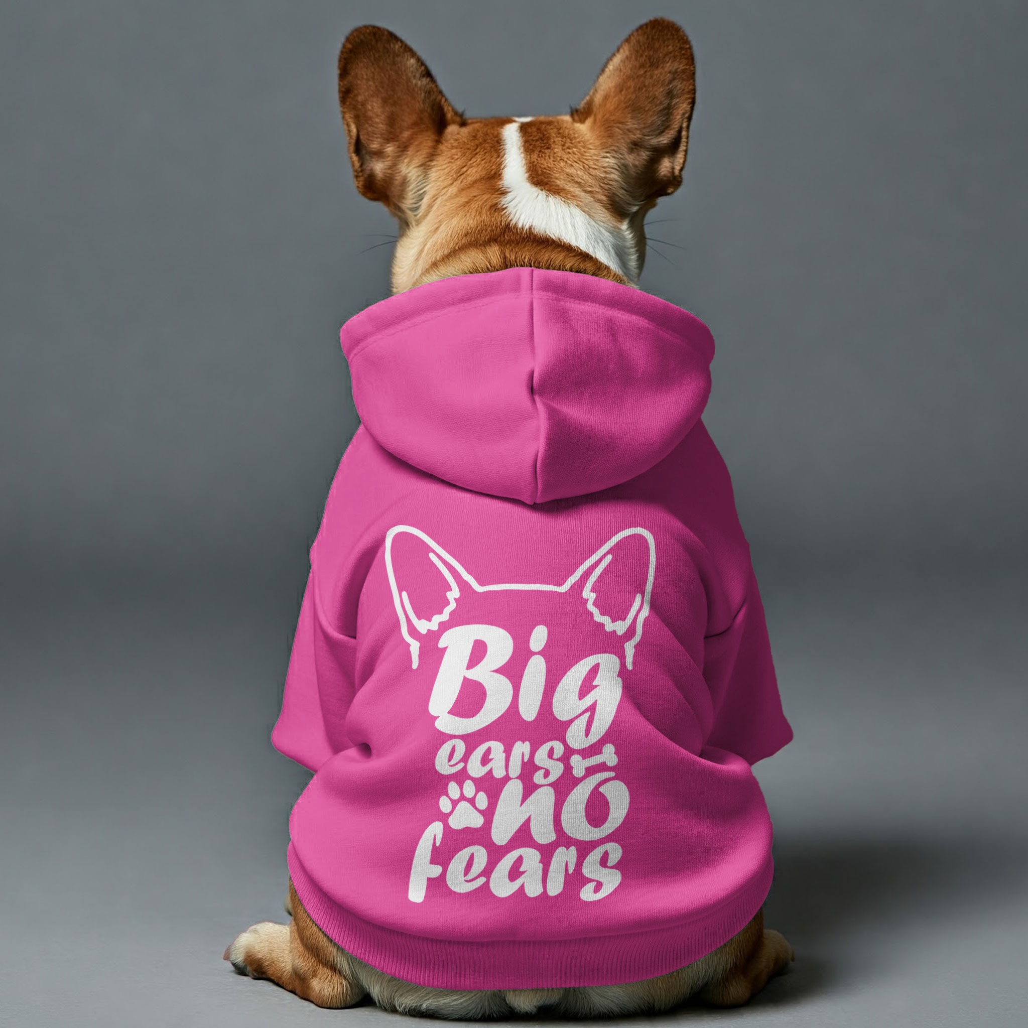 French Bulldog Personalized Pet Sweatshirt for Outdoor Adventures-fadou