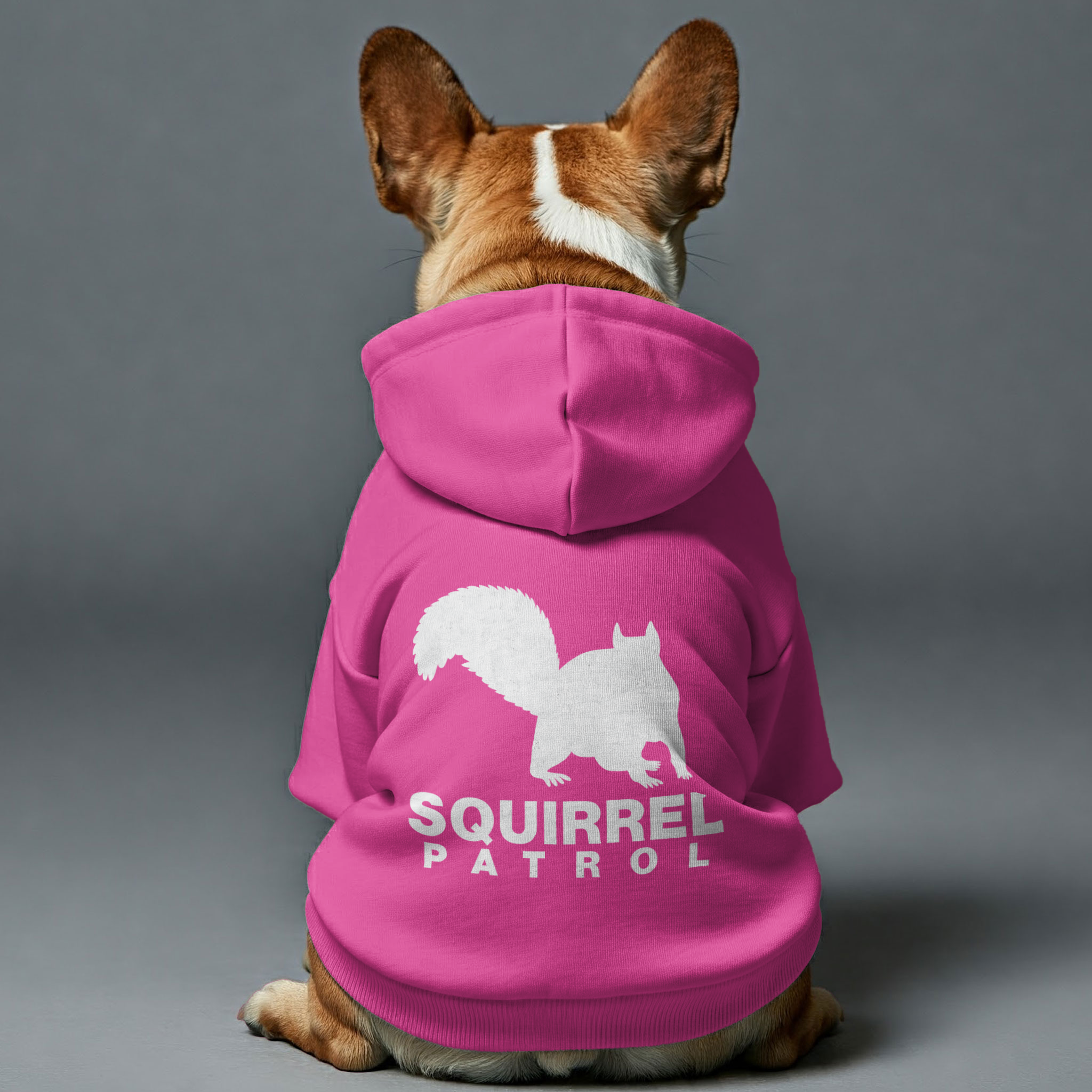 Squirrel French Bulldog Dog Hoodie for Training Sessions-fadou