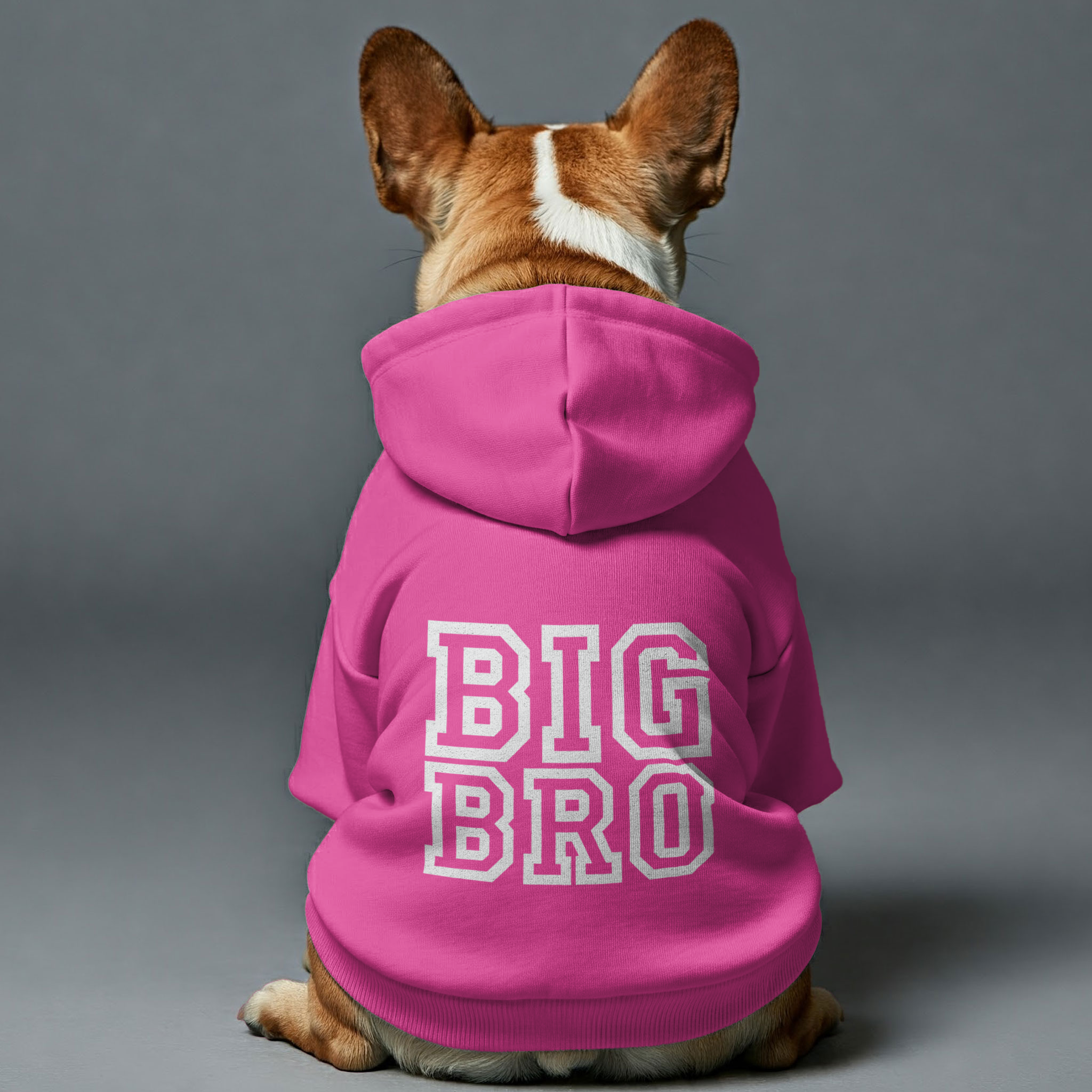Personalized Cozy Pet Sweatshirt for Outdoor Adventures-fadou