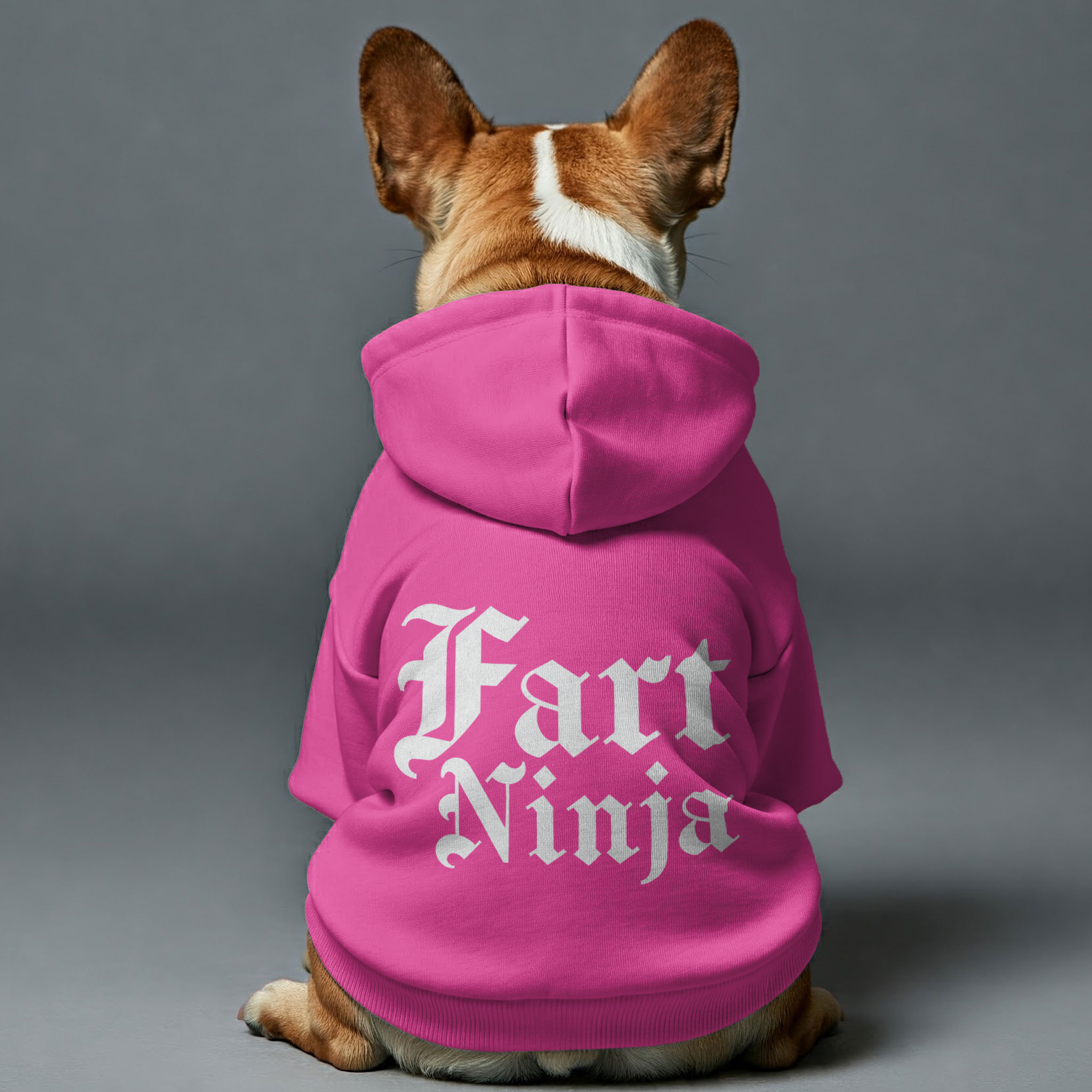 Frenchie Personalized Dog Hoodie for Outdoor Adventures-fadou