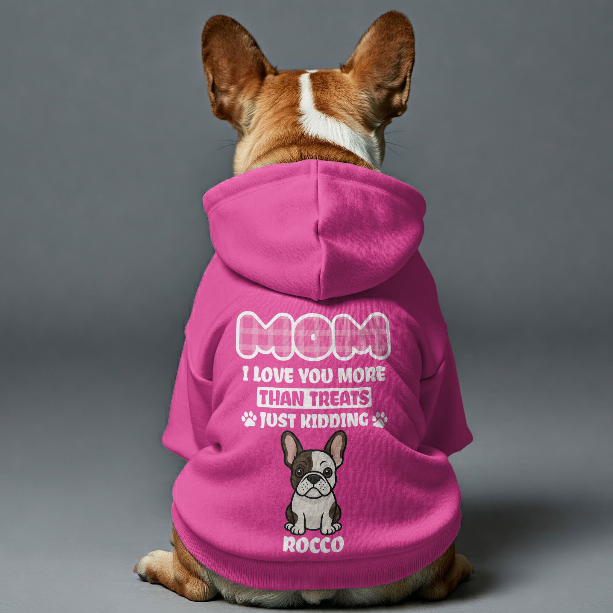 French Bulldog Custom Fleece Hoodie for Flat-Face Breeds-fadou