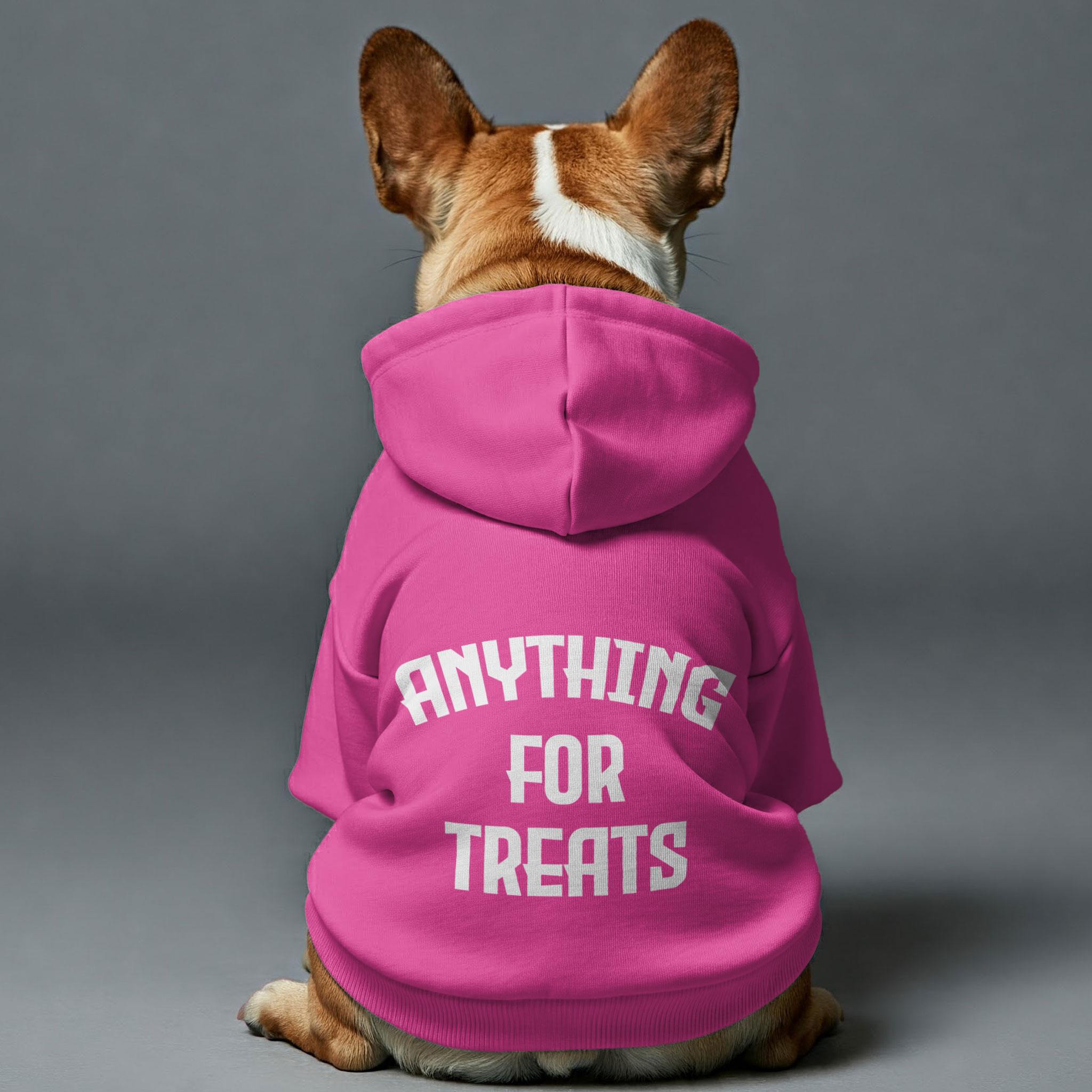 French Bulldog Cozy Fleece Hoodie for Training Sessions-fadou