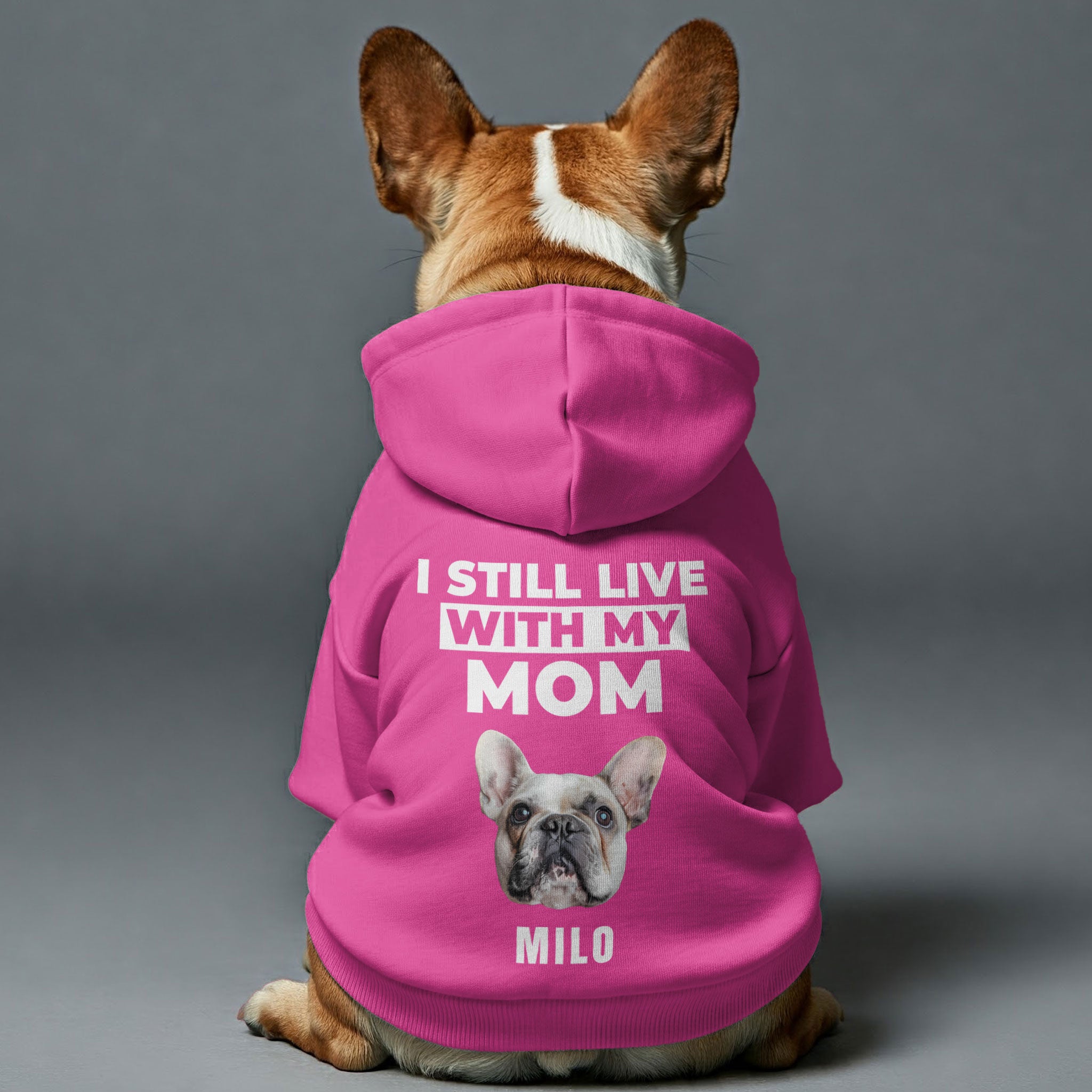 French Bulldog Premium Dog Hoodie for Brachycephalic Dogs-fadou