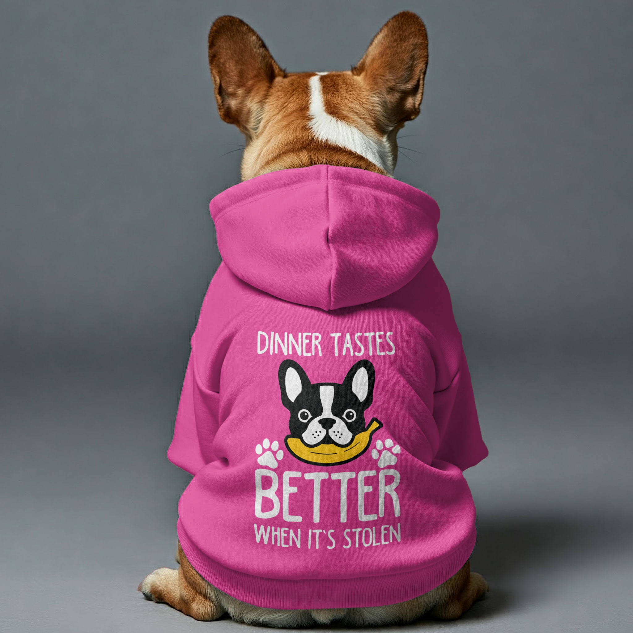 French Bulldog Premium Dog Hoodie for Training Sessions-fadou