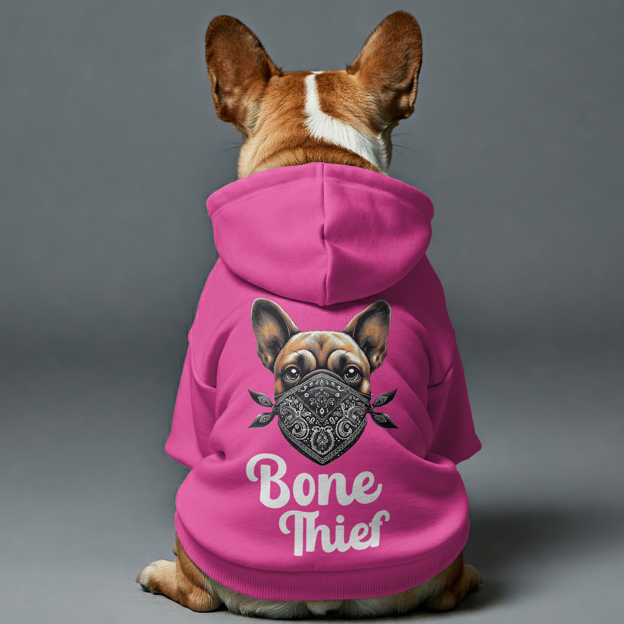 Frenchie Personalized Fleece Hoodie for Training Sessions-fadou