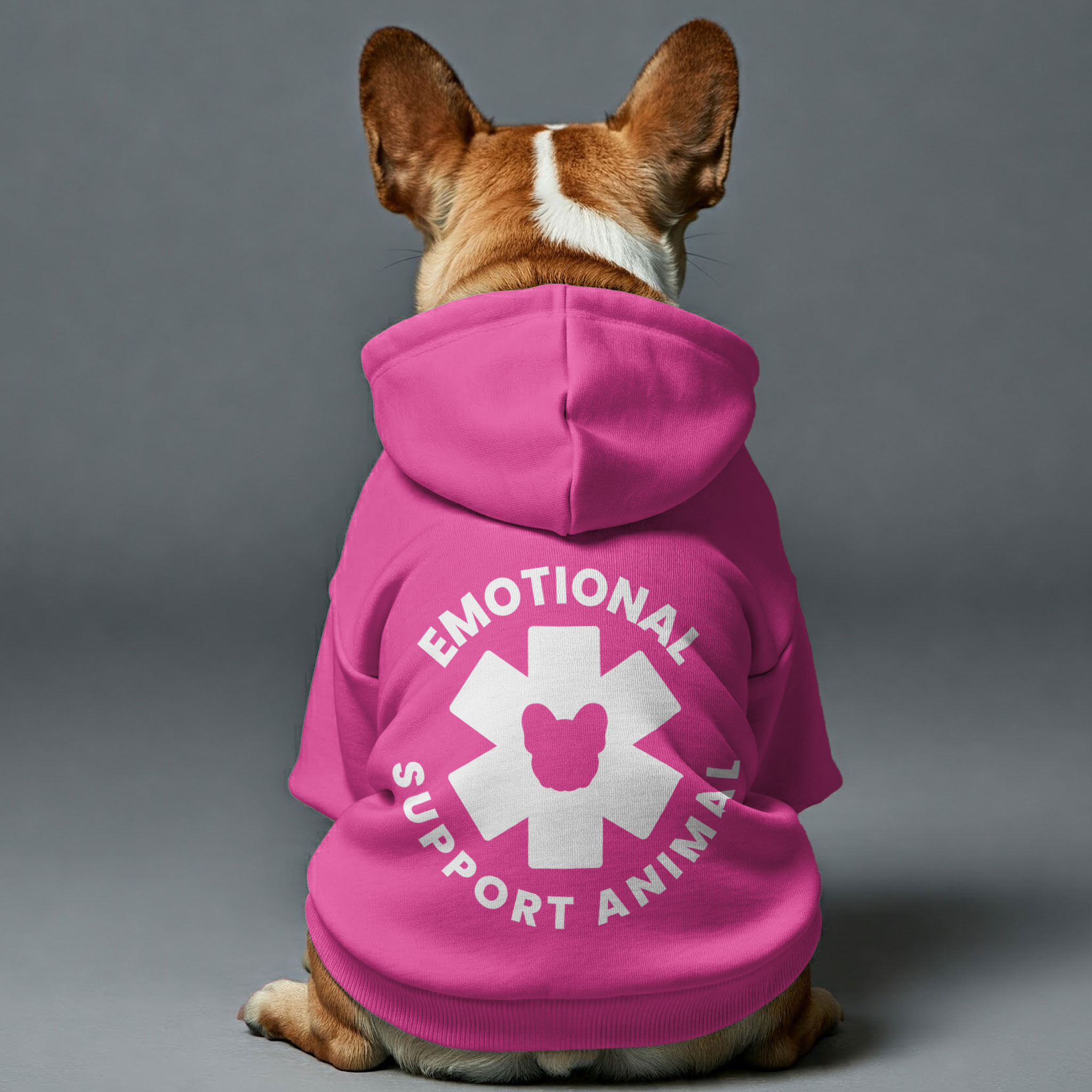 EMOTIONAL French Bulldog Pet Sweatshirt for Cozy Nights-fadou