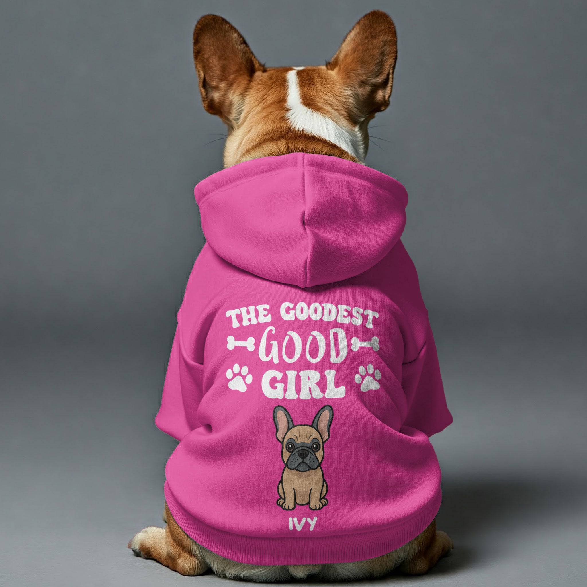 The French Bulldog Pet Sweatshirt for Outdoor Adventures-fadou