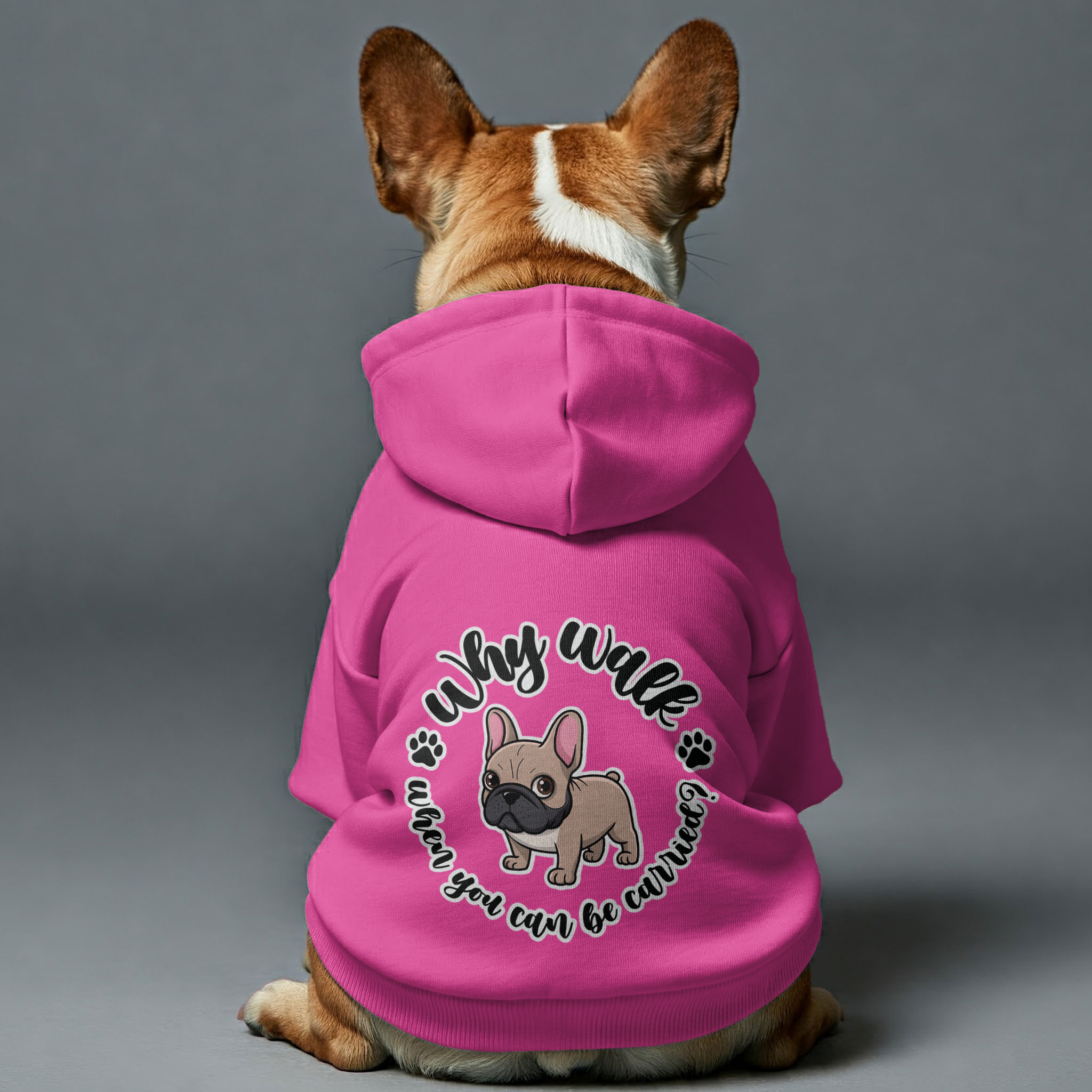 Why Walk When You Can Be Carried? - Personalized for French Bulldogs-fadou