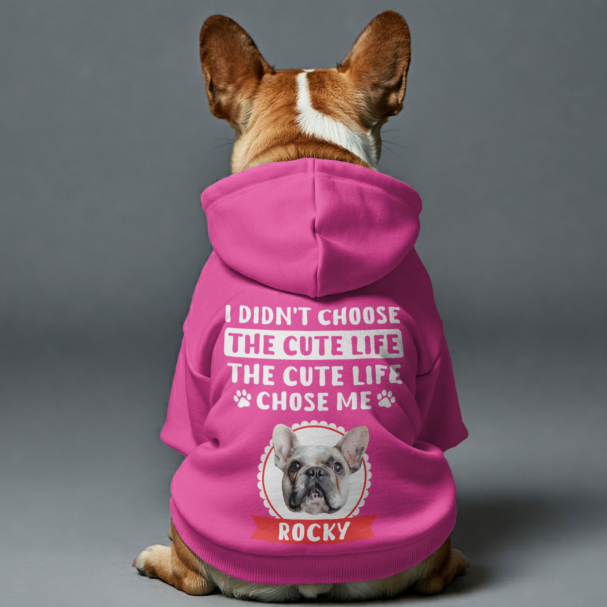 French Bulldog Cute Pet Sweatshirt for Training Sessions-fadou