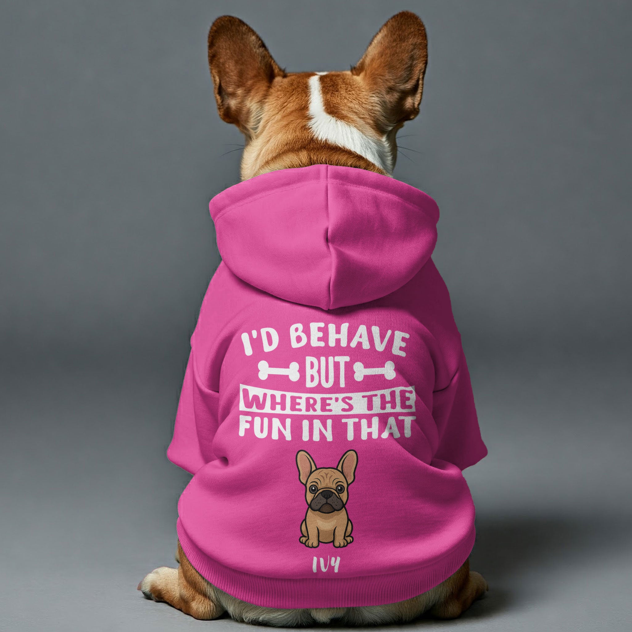 French Bulldog Funny Fleece Hoodie for Training Sessions-fadou