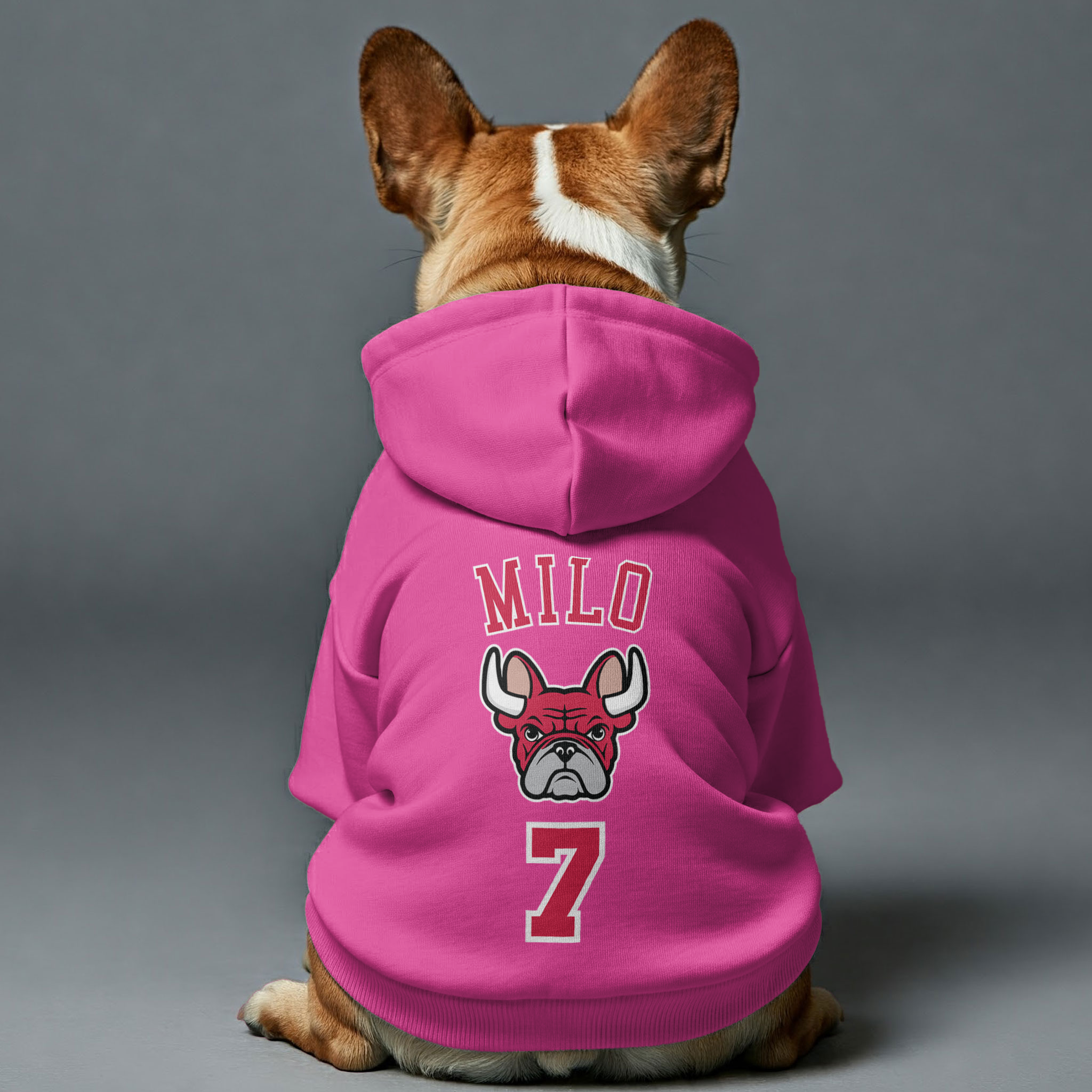 Personalized French Bulldog Hoodies with Custom for French Bulldogs-fadou