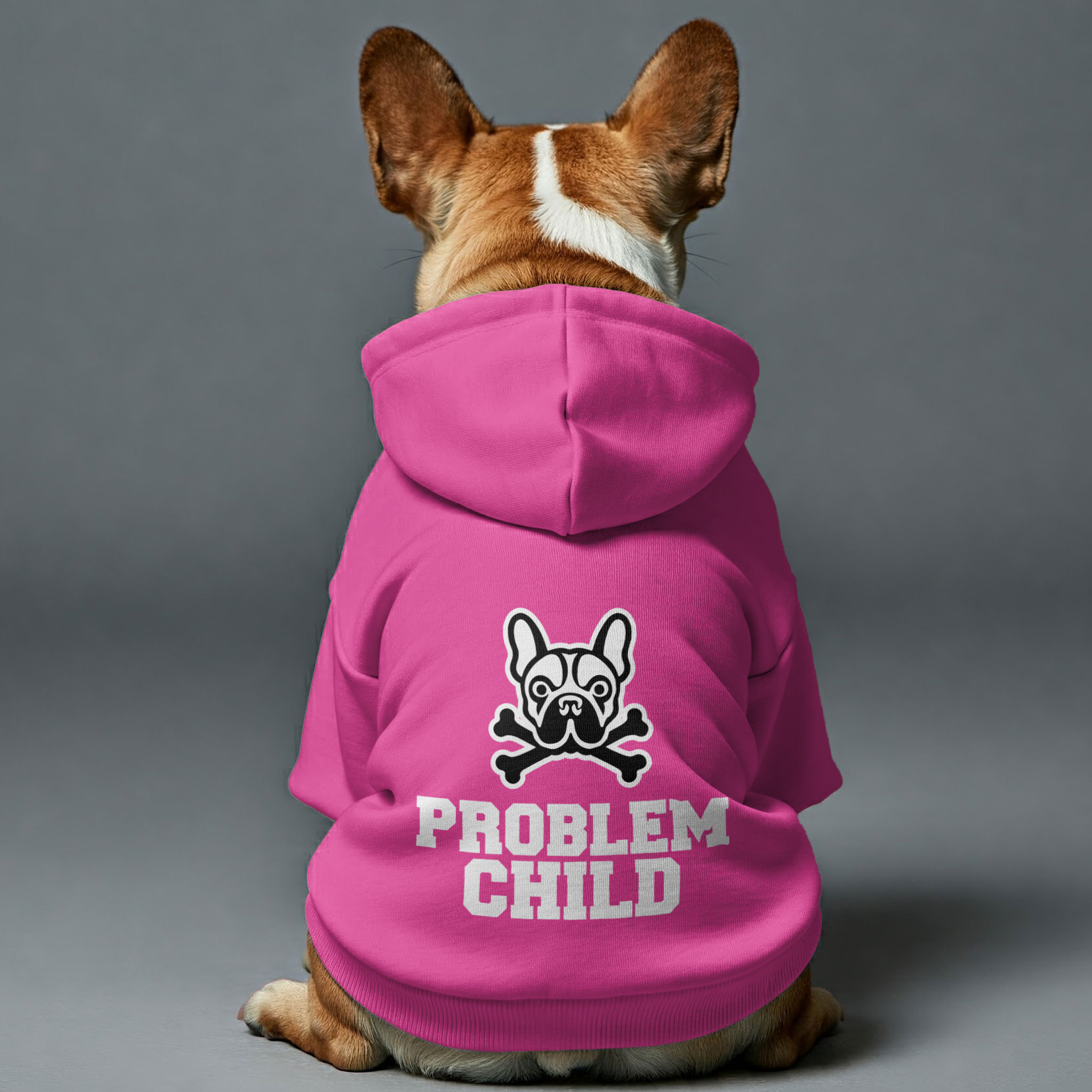 Problem French Bulldog Dog Hoodie for Training Sessions-fadou