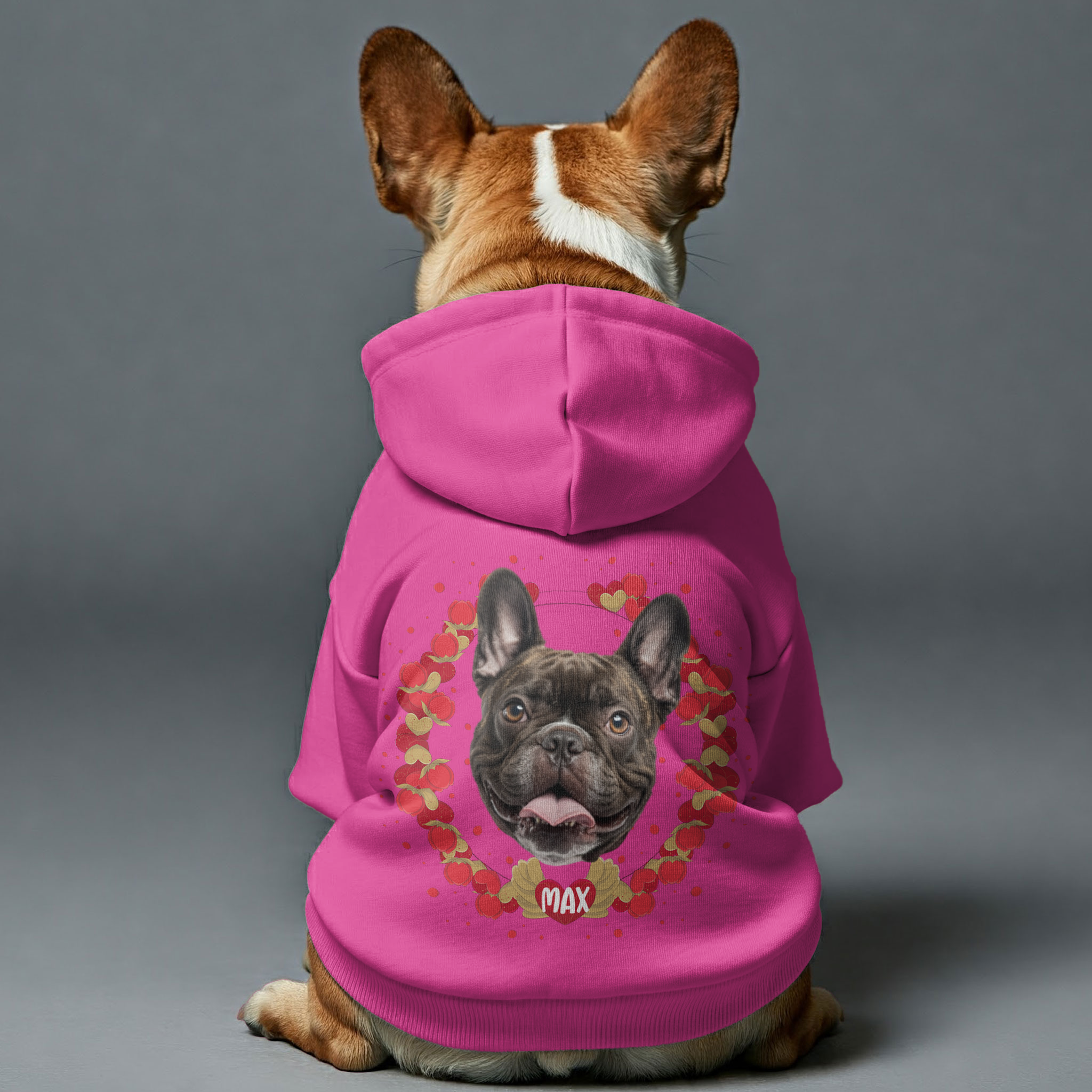 French Bulldog Cozy Cotton Sweatshirt for Frenchie Fans-fadou