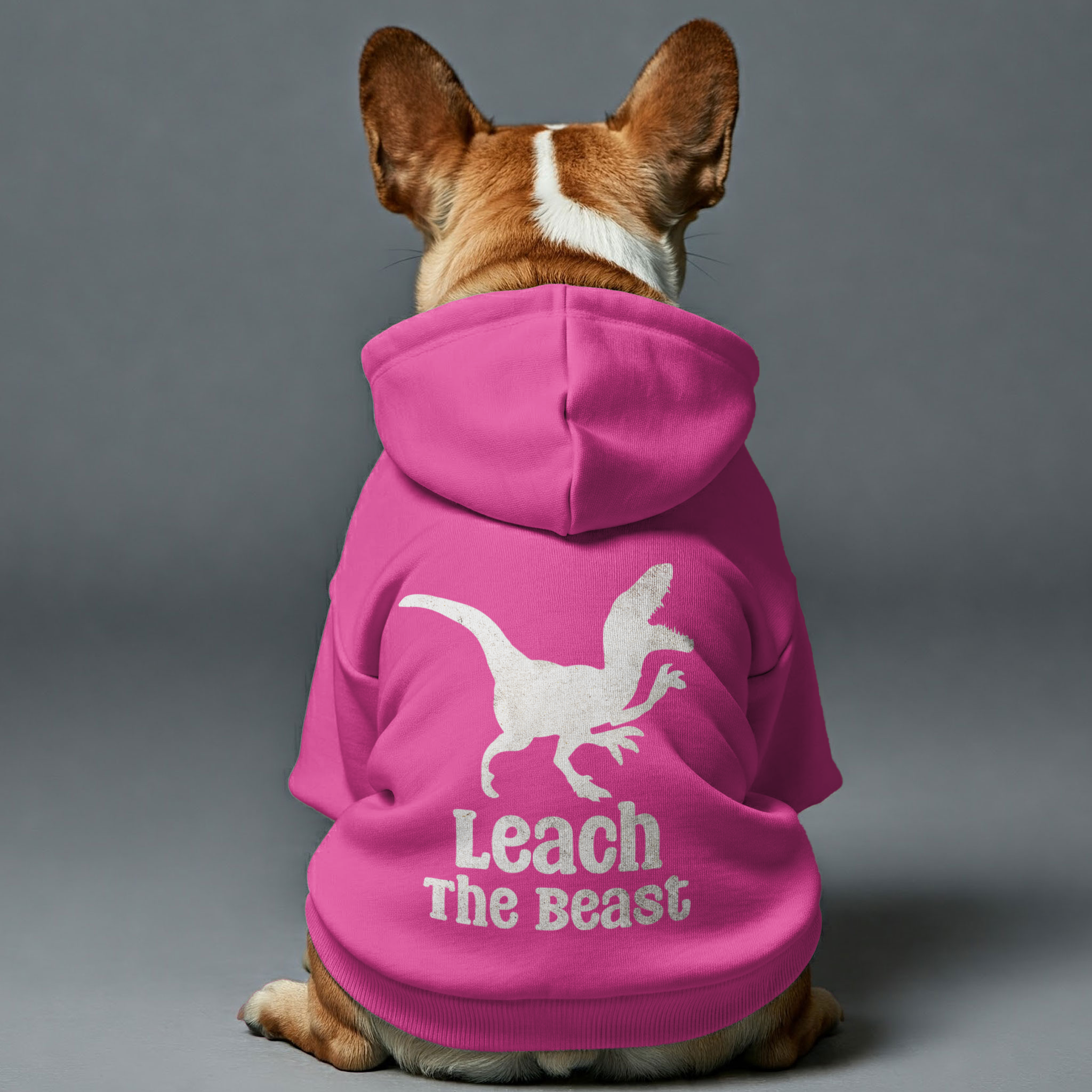 French Bulldog Premium Pet Sweatshirt for Short-Nosed Dogs-fadou