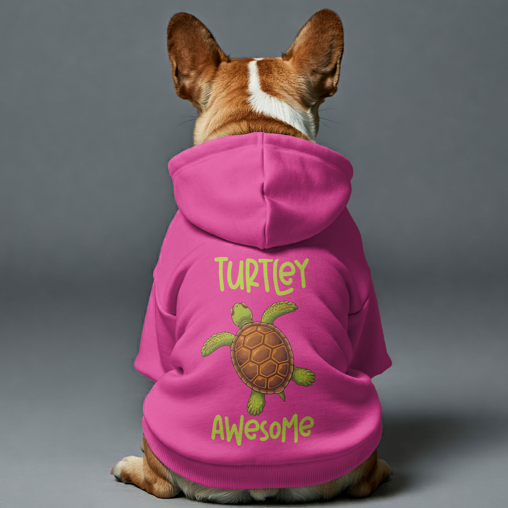 Turtley French Bulldog Dog Hoodie for Brachycephalic Dogs-fadou
