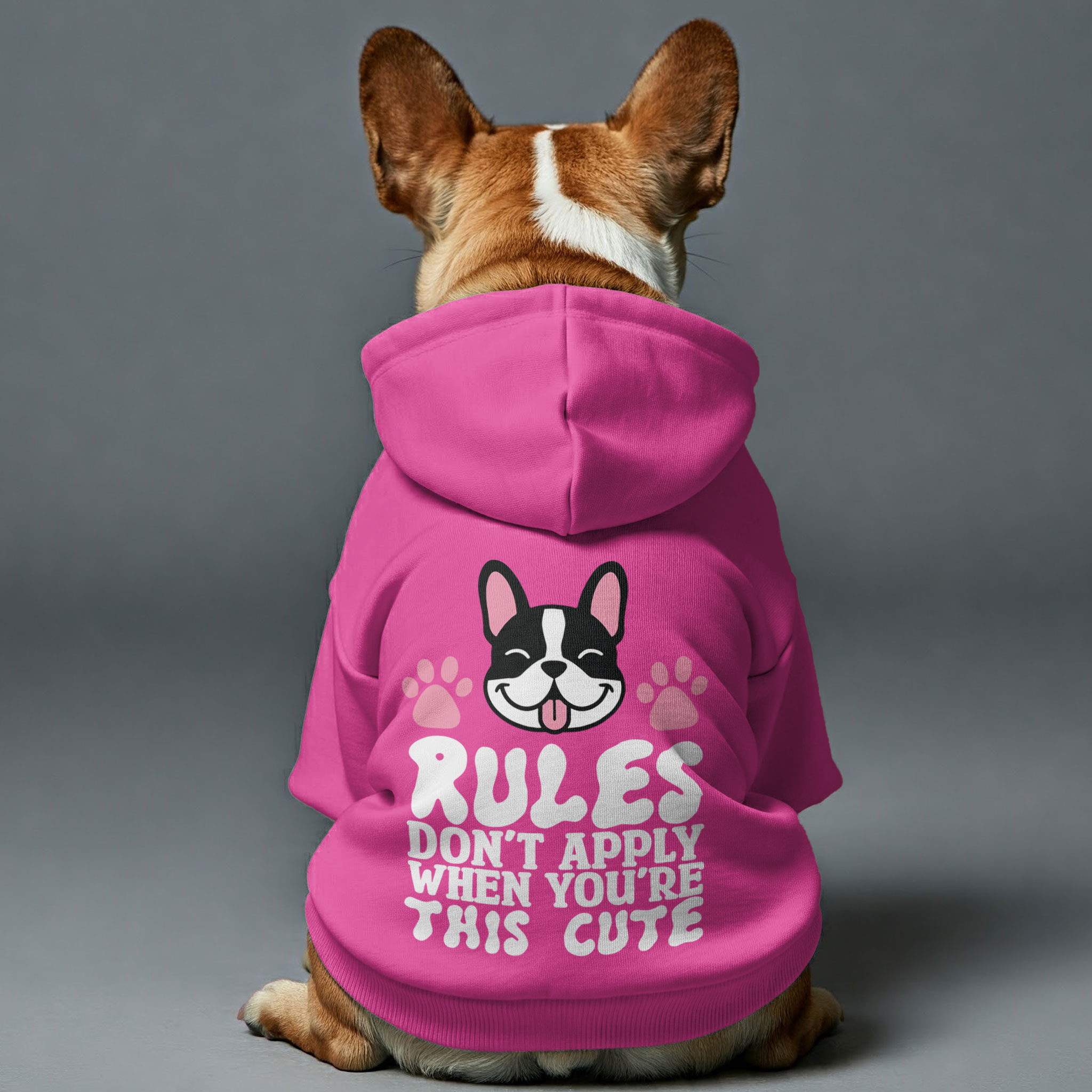 Rules French Bulldog Cozy Hoodie for Outdoor Adventures-fadou