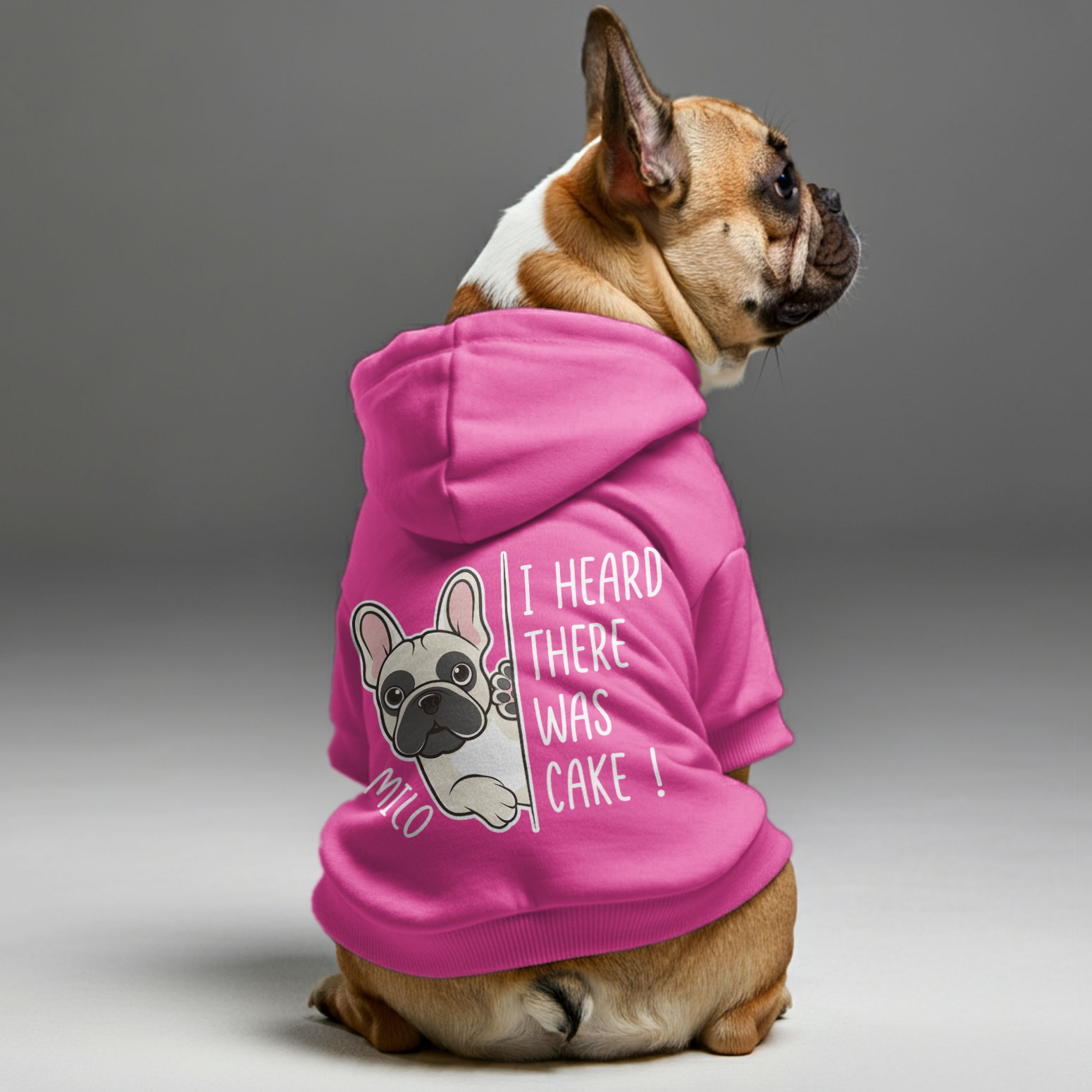 Personalized French Bulldog Hoodies with Funny for French Bulldogs-fadou