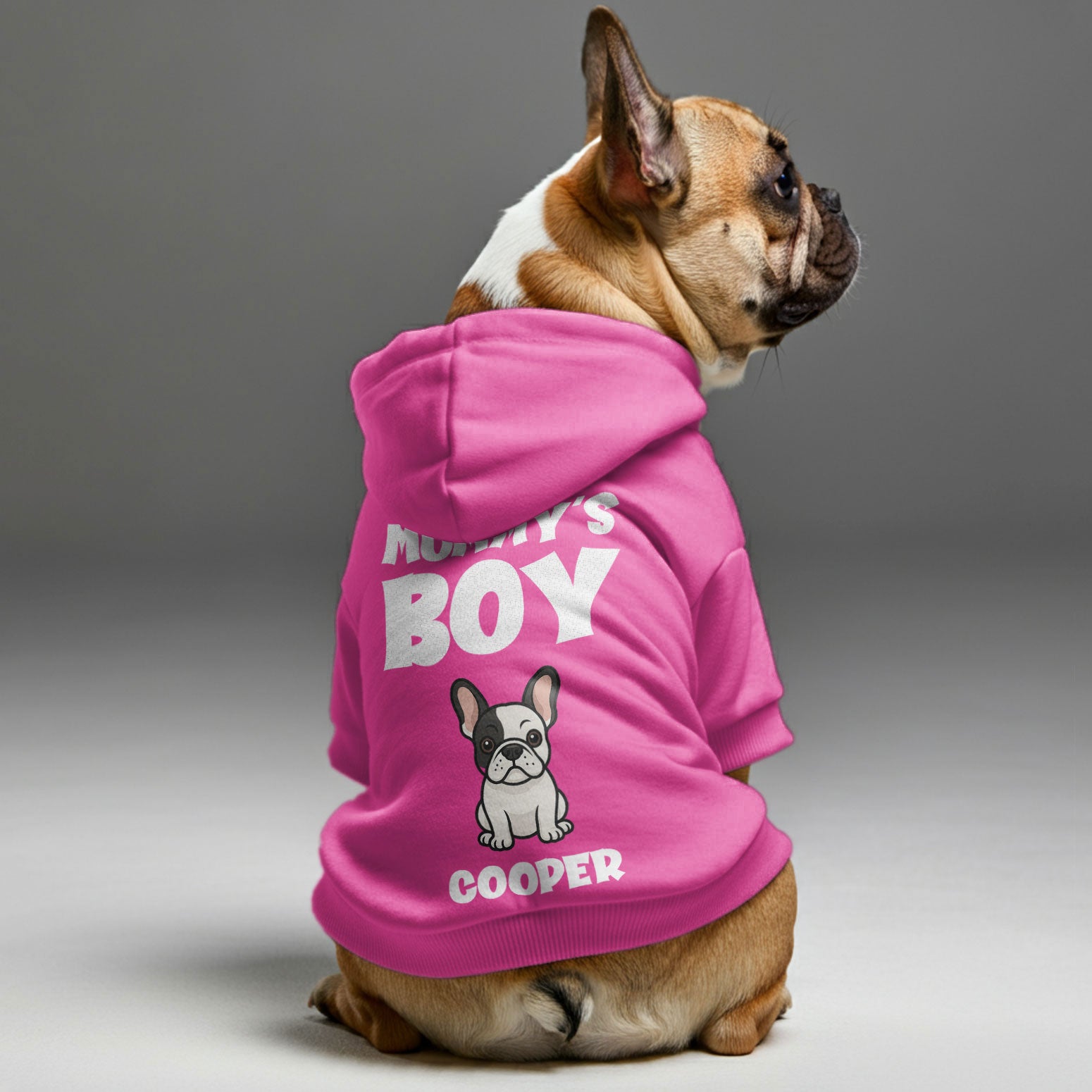 French Bulldog Custom Pet Sweatshirt for Short-Nosed Dogs-fadou