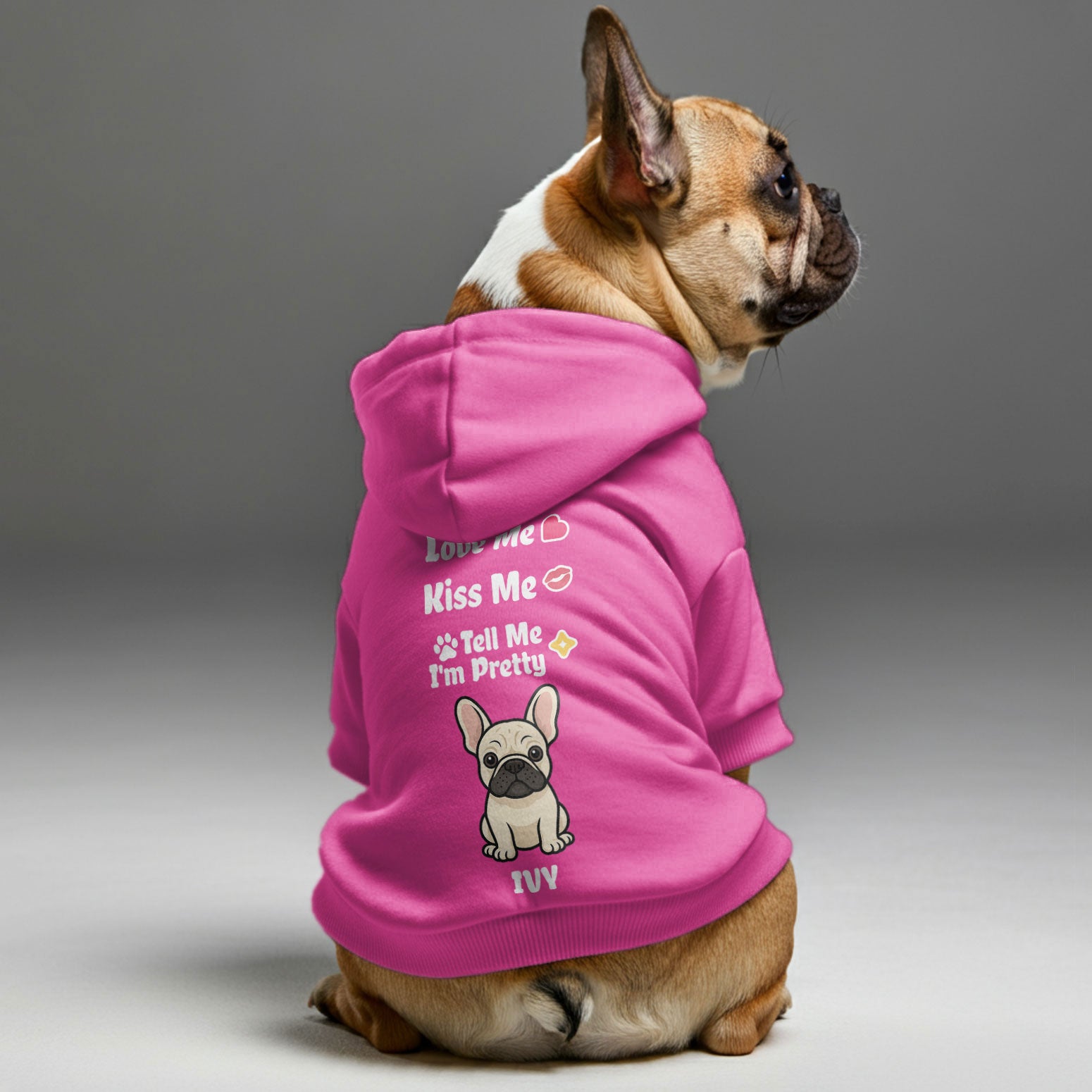 French Bulldog Custom Pet Sweatshirt for Outdoor Adventures-fadou