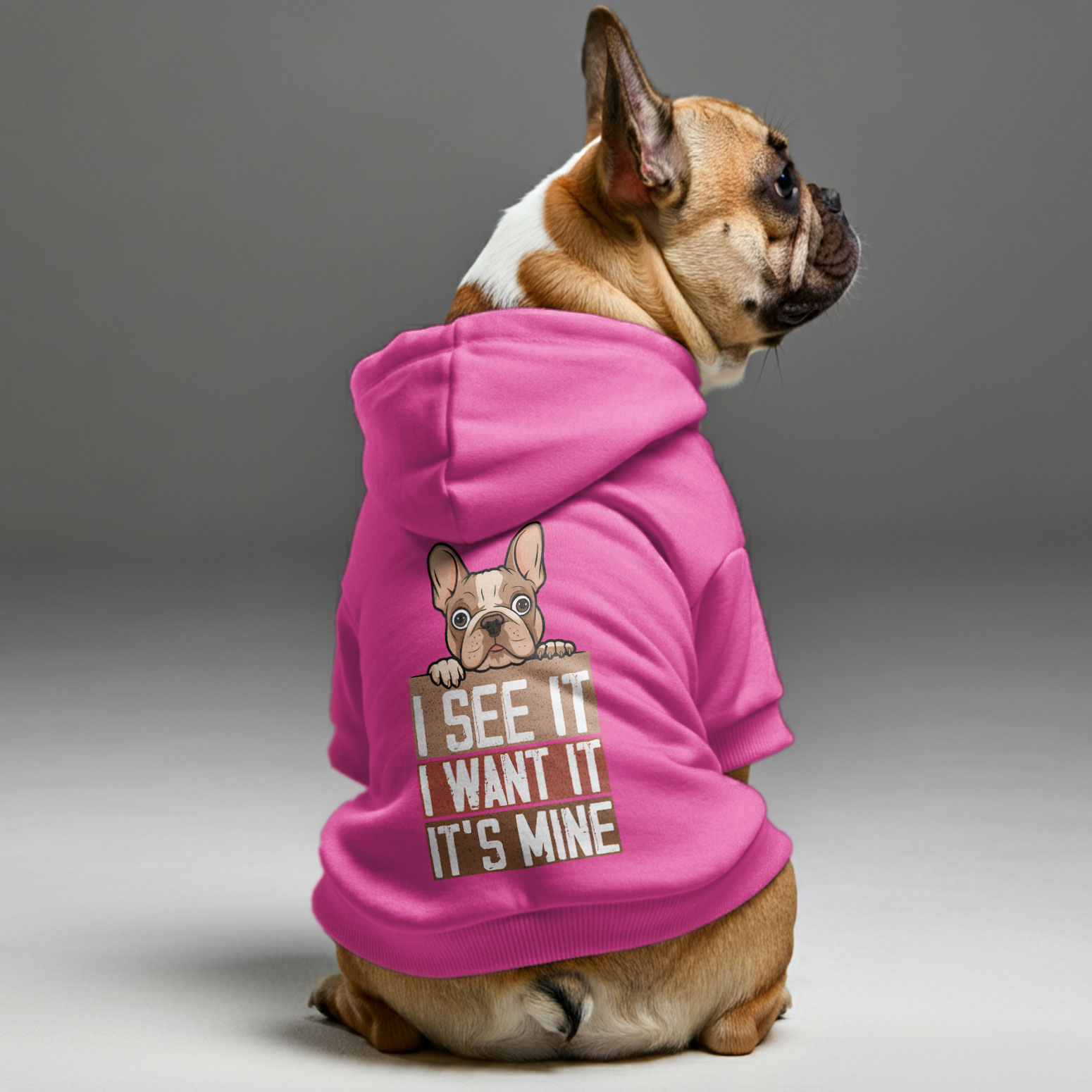 French Bulldog Funny Pet Sweatshirt for Training Sessions-fadou
