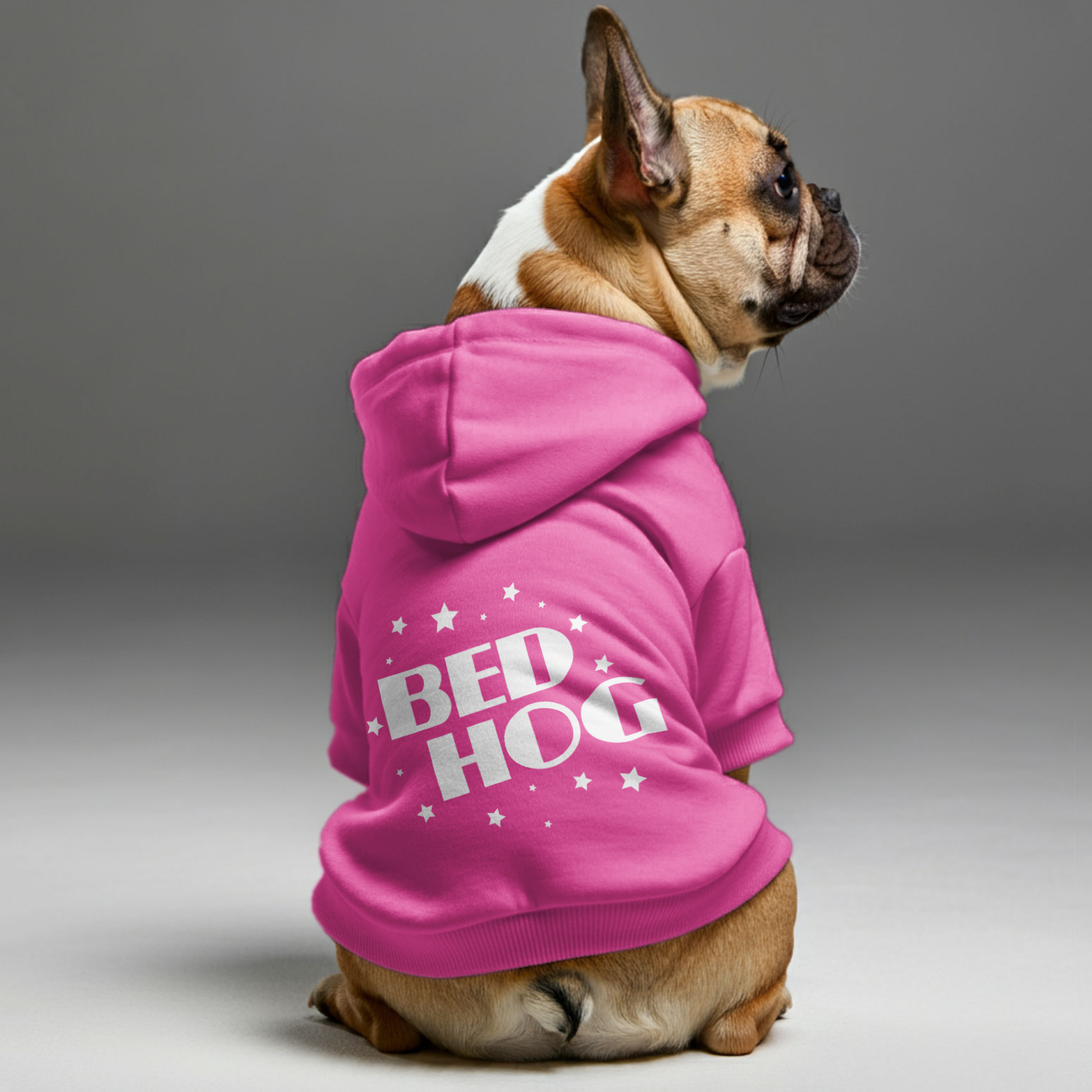 French Bulldog Cozy Pet Sweatshirt for Outdoor Adventures-fadou