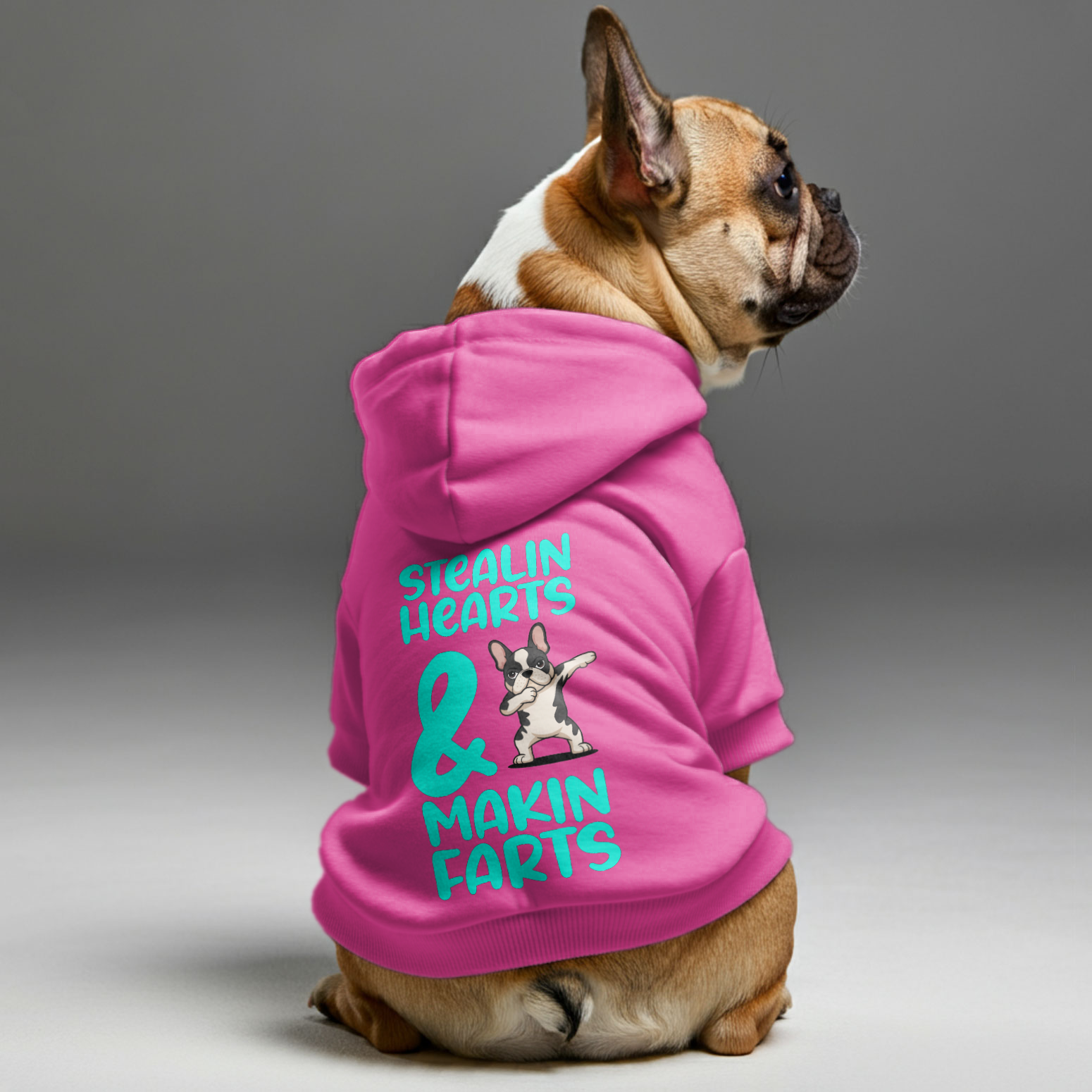 Stealin French Bulldog Cozy Hoodie for Flat-Face Breeds-fadou