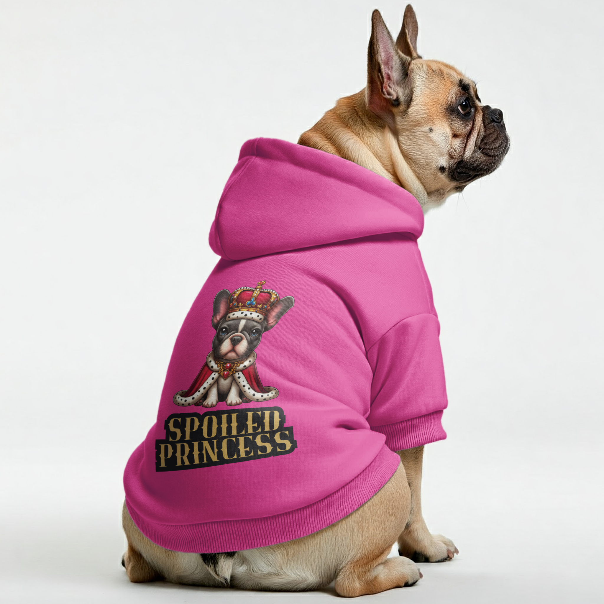 Spoiled French Bulldog Pet Sweatshirt for Travel Comfort-fadou