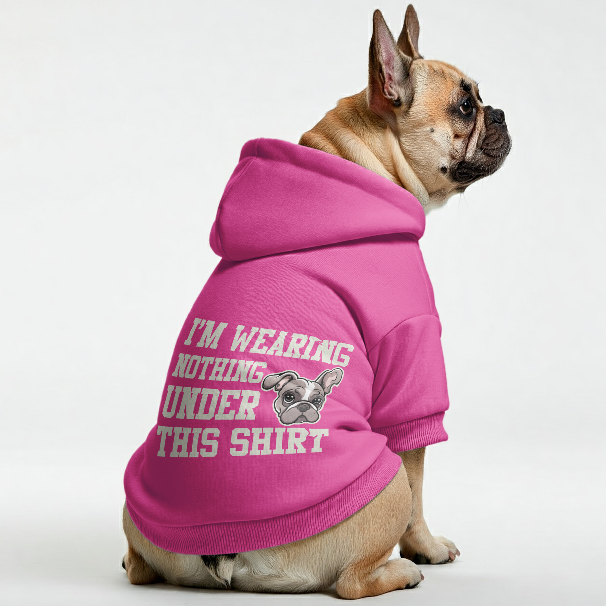 French Bulldog Premium Cozy Hoodie for Flat-Face Breeds-fadou