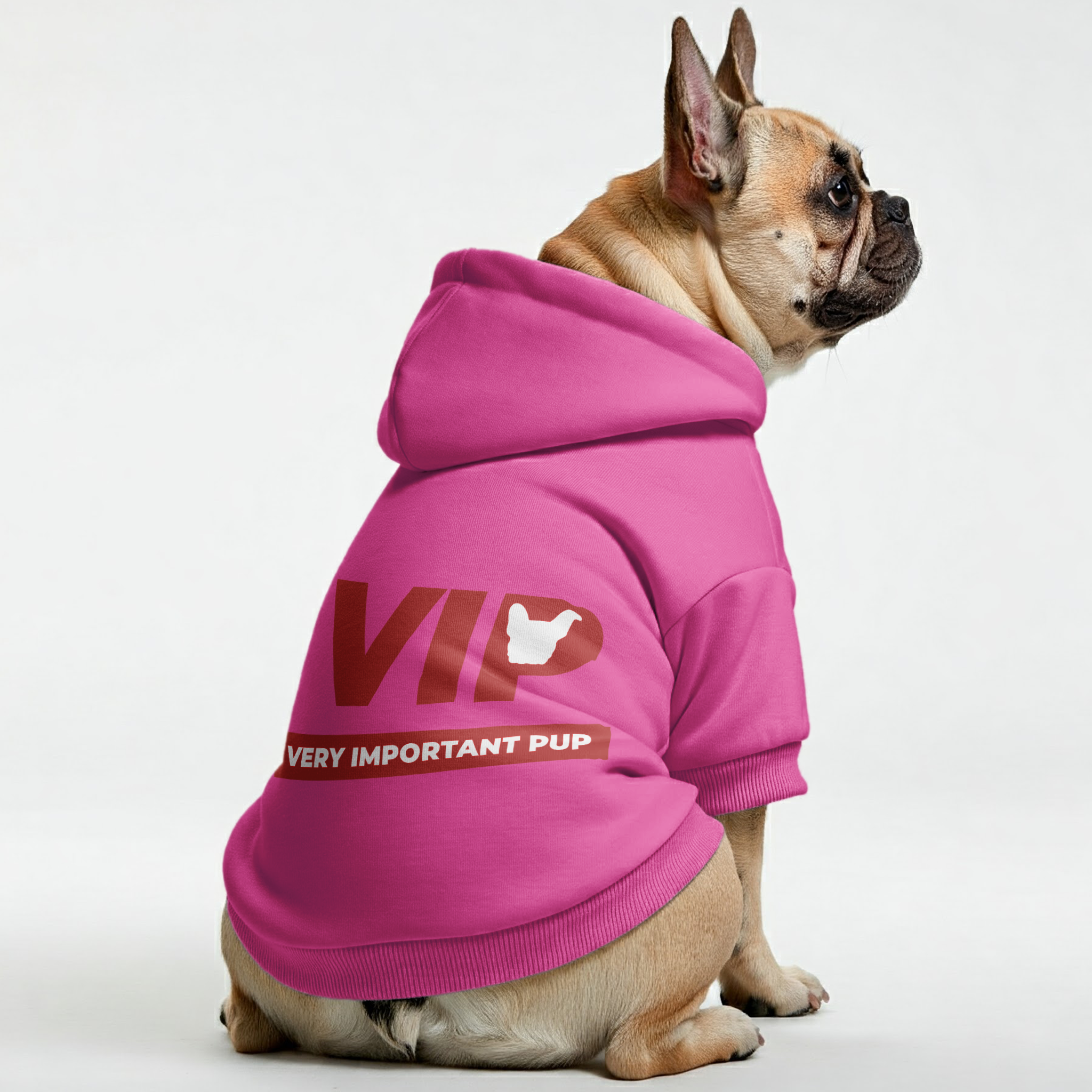VIP French Bulldog Pet Sweatshirt for Outdoor Adventures-fadou